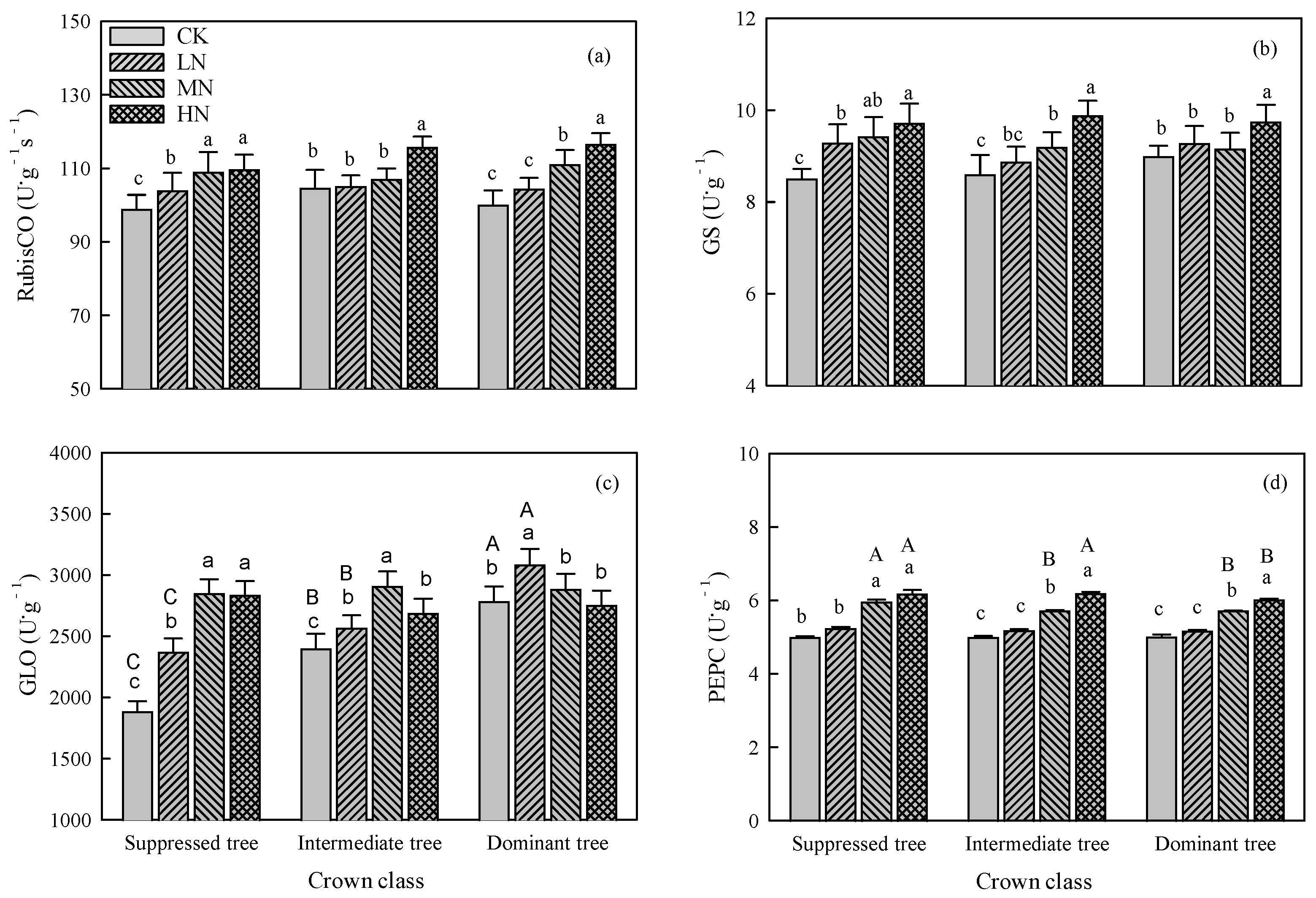 Plants 14 01056 g004