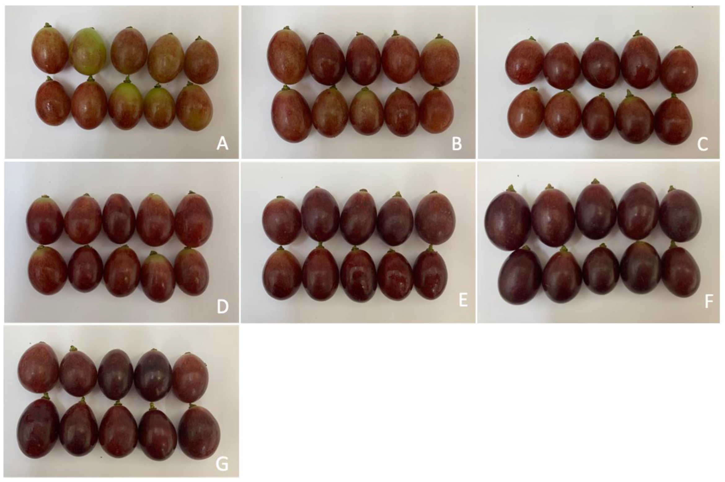 Plants 14 01058 g004 Plants 14 01058 g004