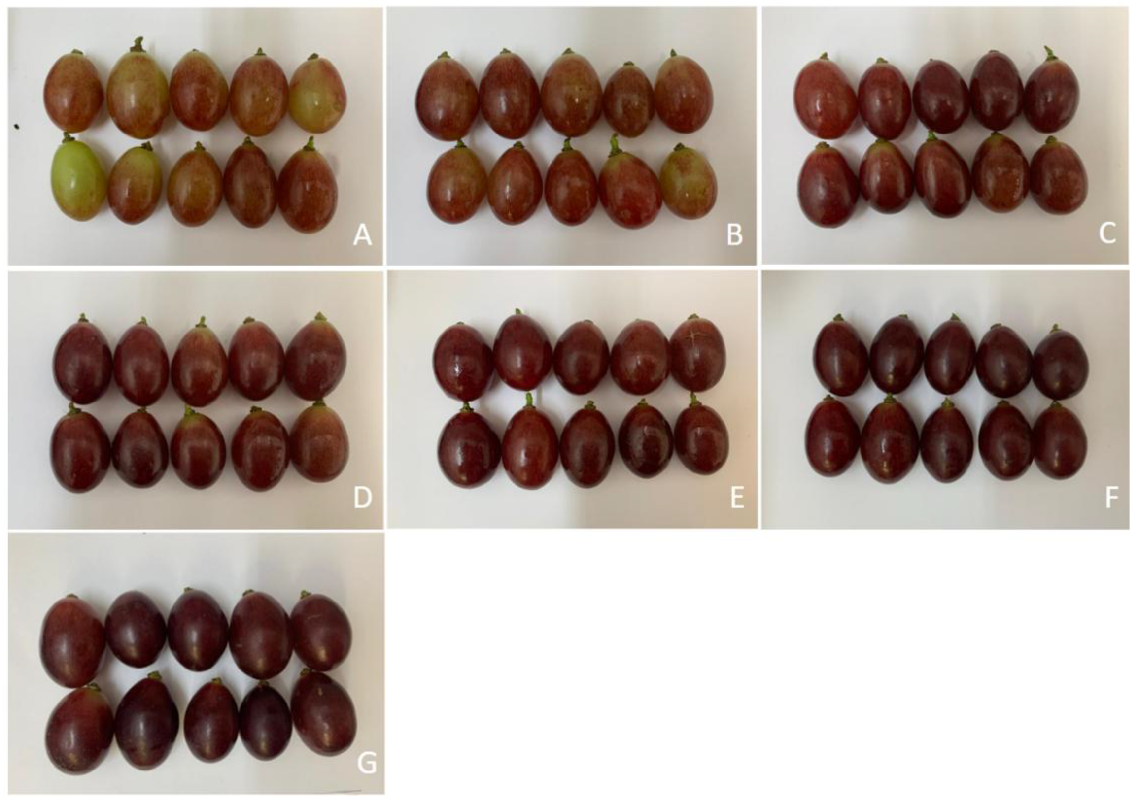 Plants 14 01058 g008 Plants 14 01058 g008