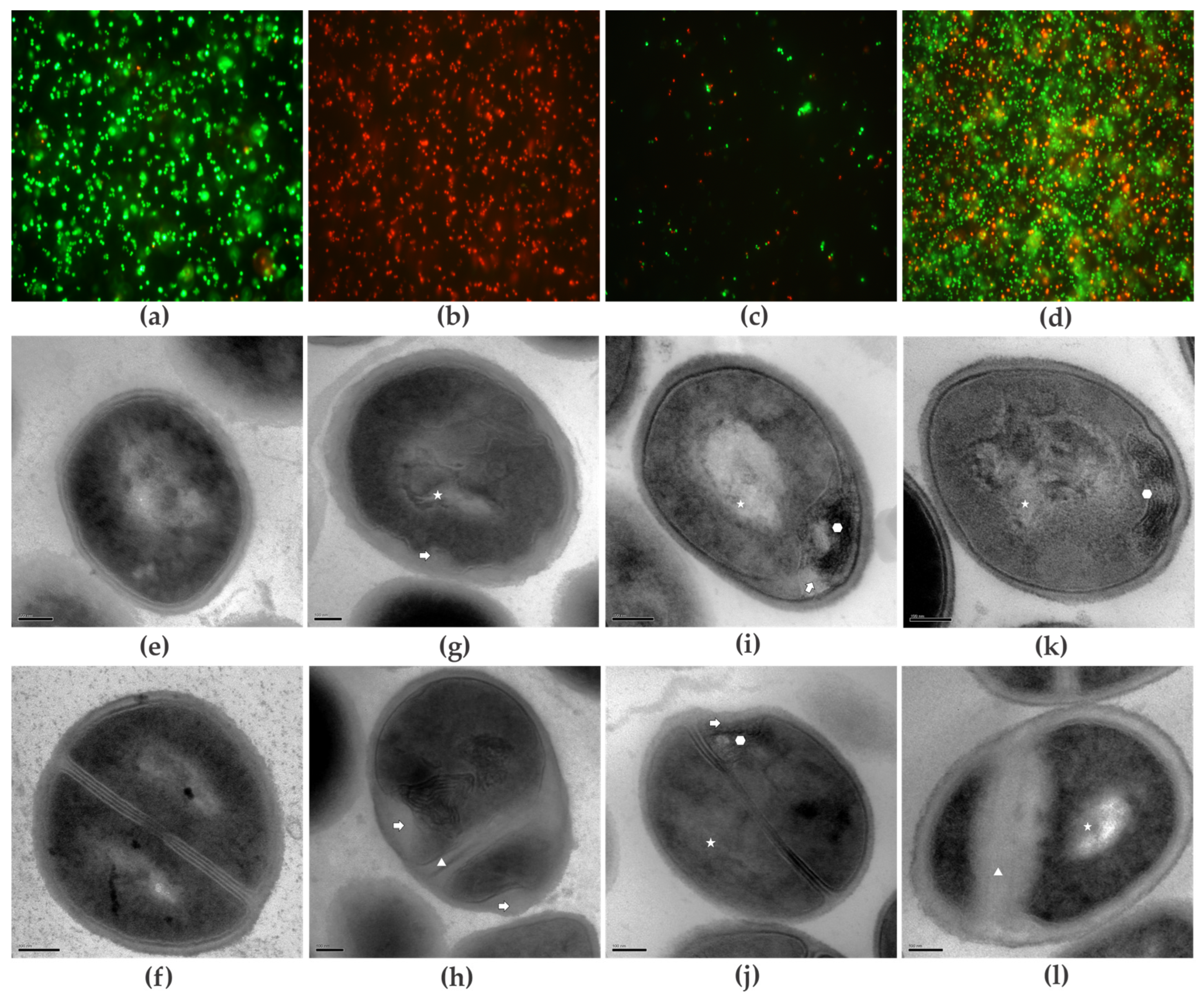 Plants 14 01059 g003