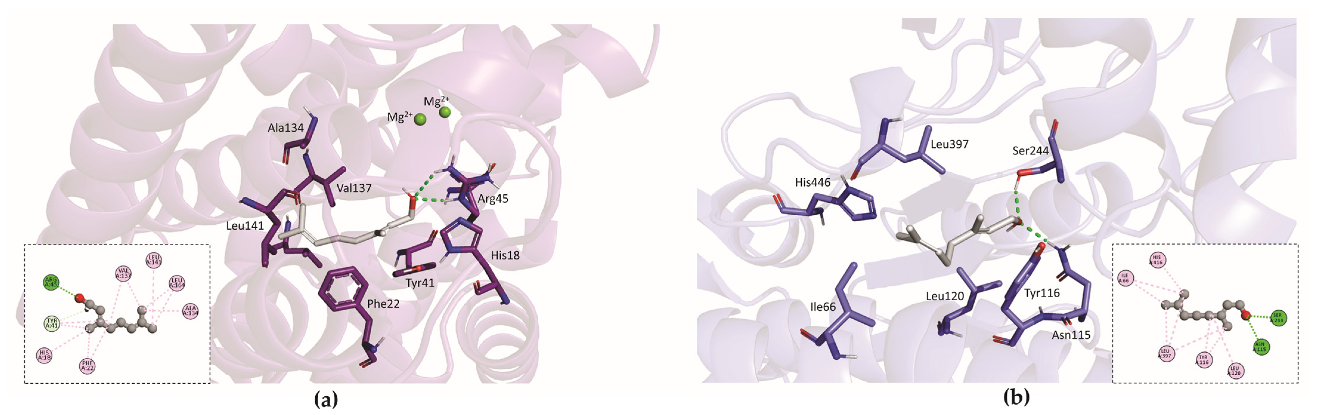Plants 14 01059 g005