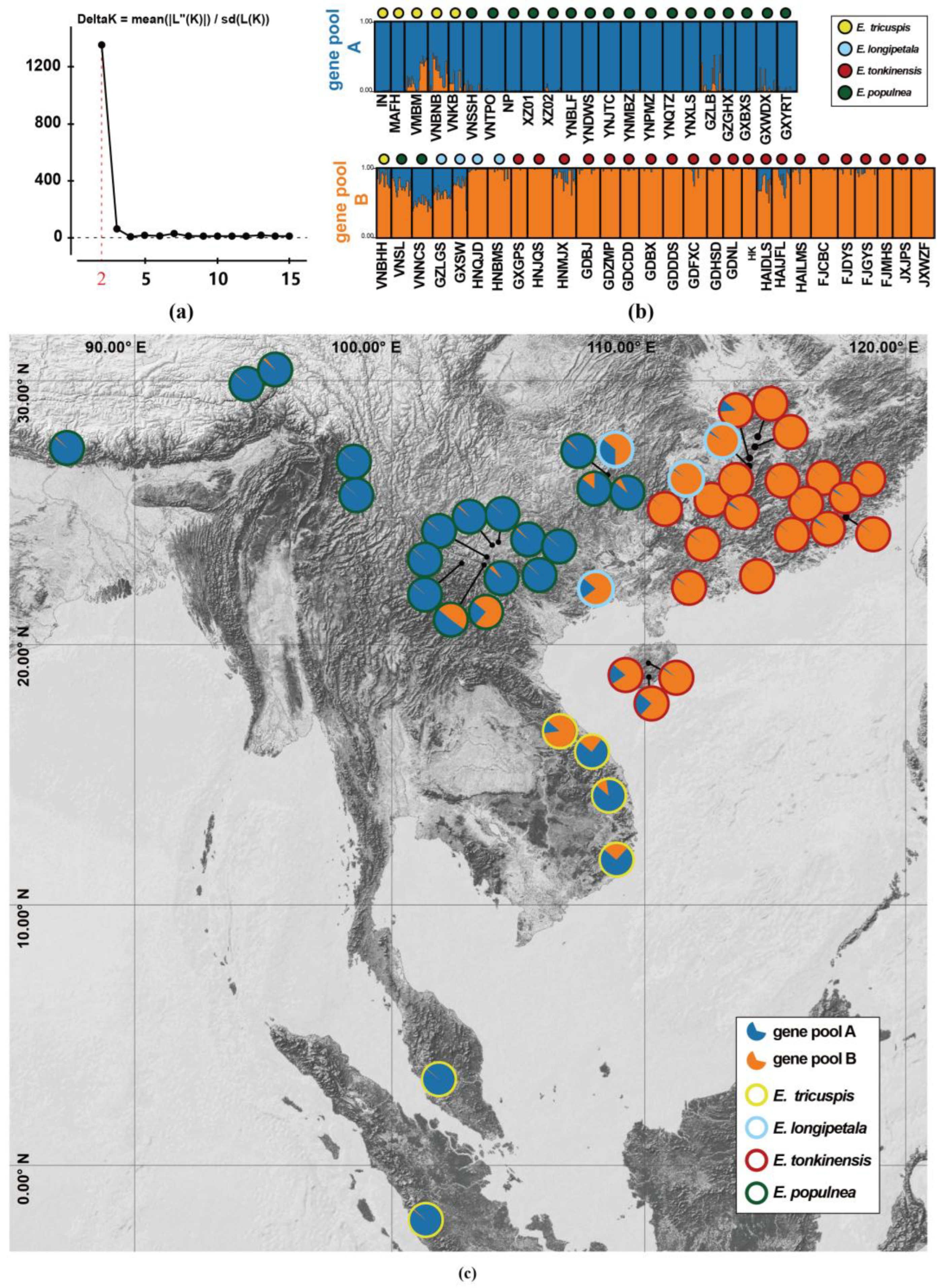 Plants 14 01061 g003
