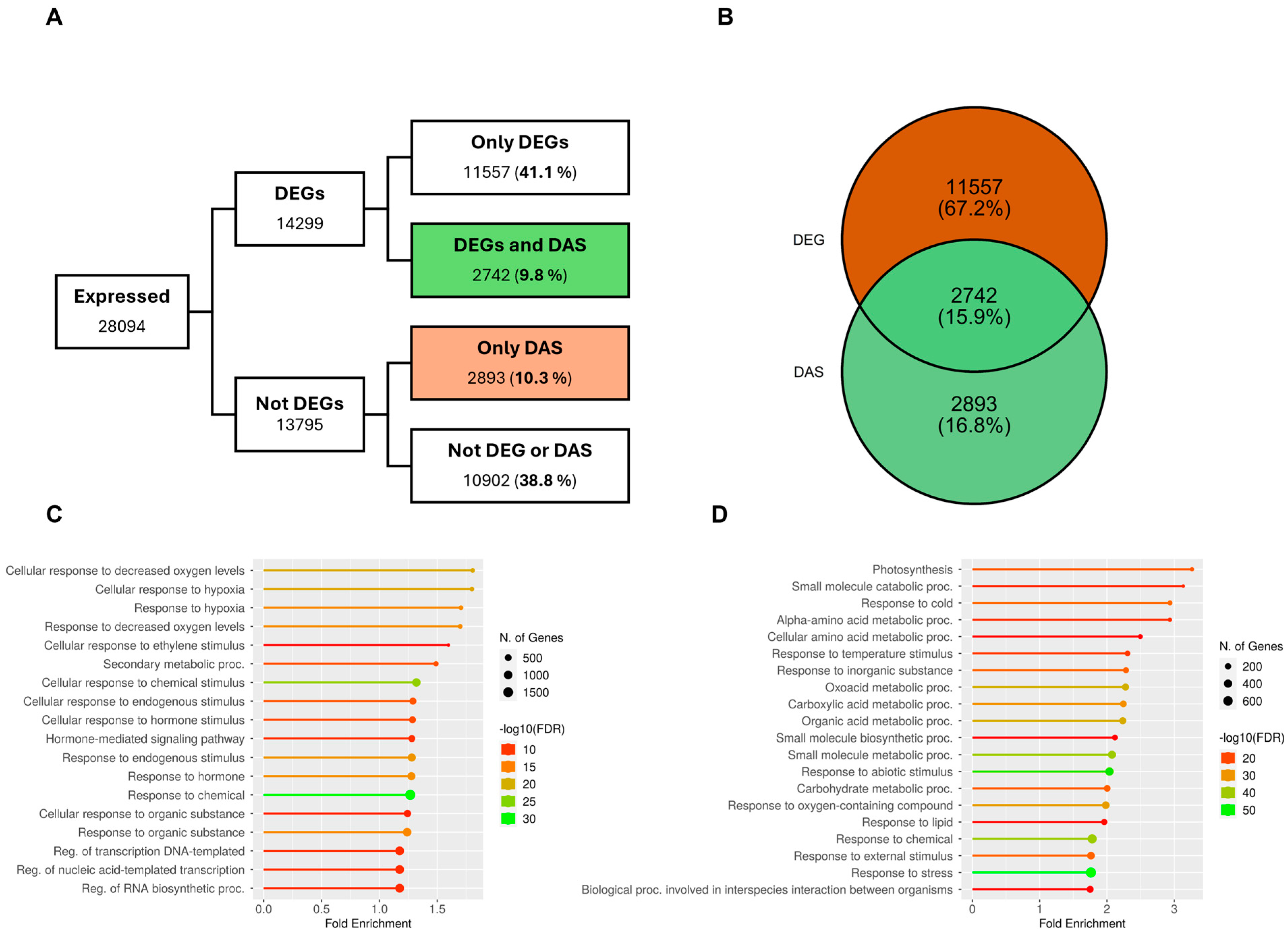 Plants 14 01064 g001