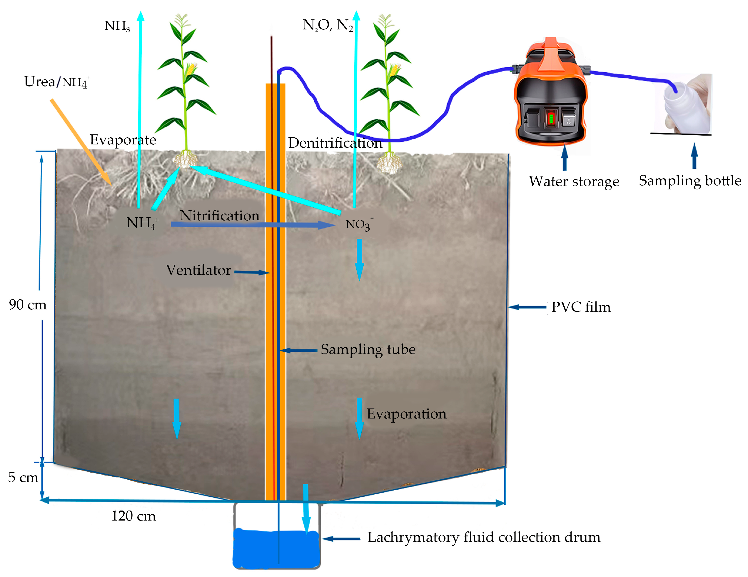 Plants 14 01067 g002