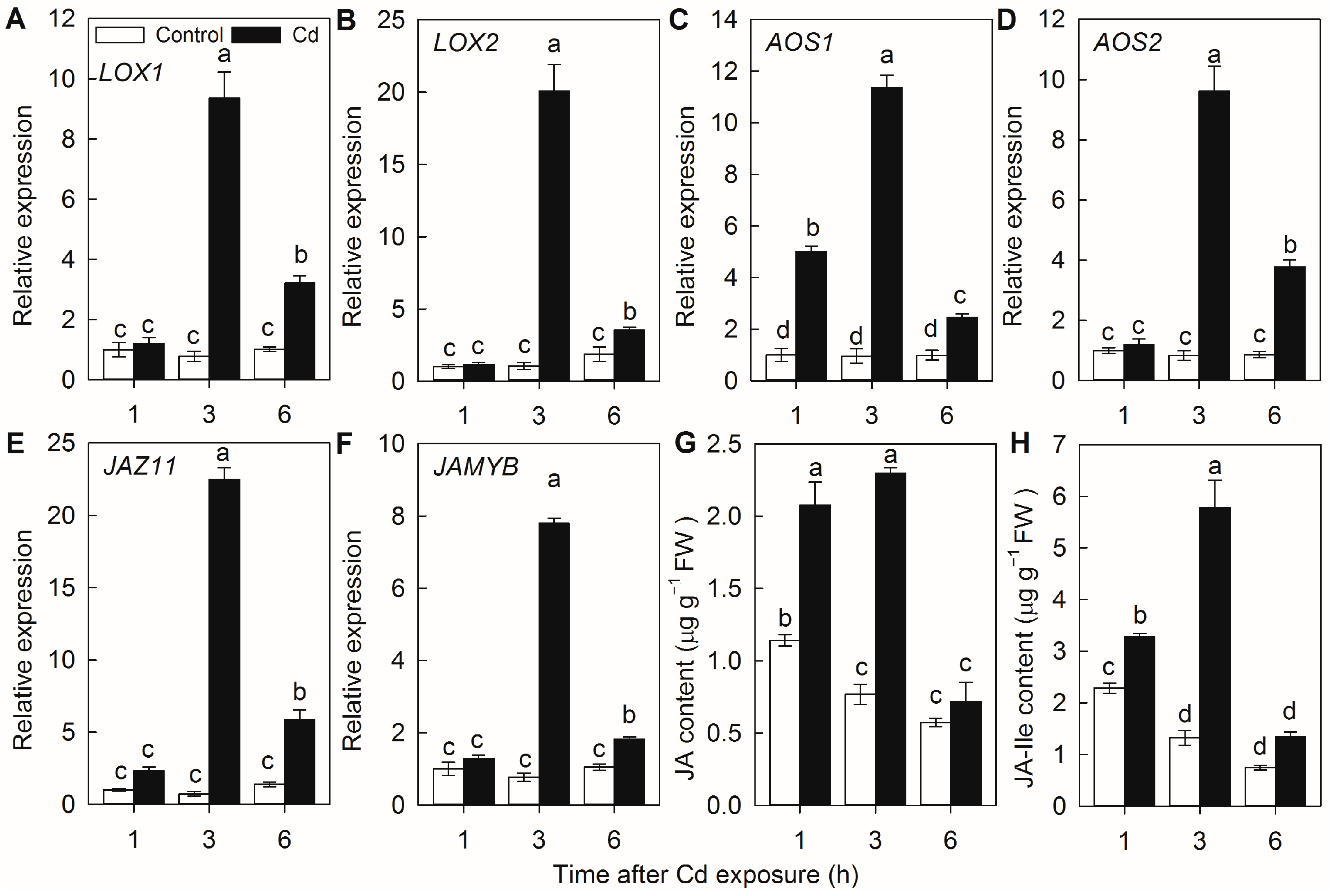 Plants 14 01068 g001