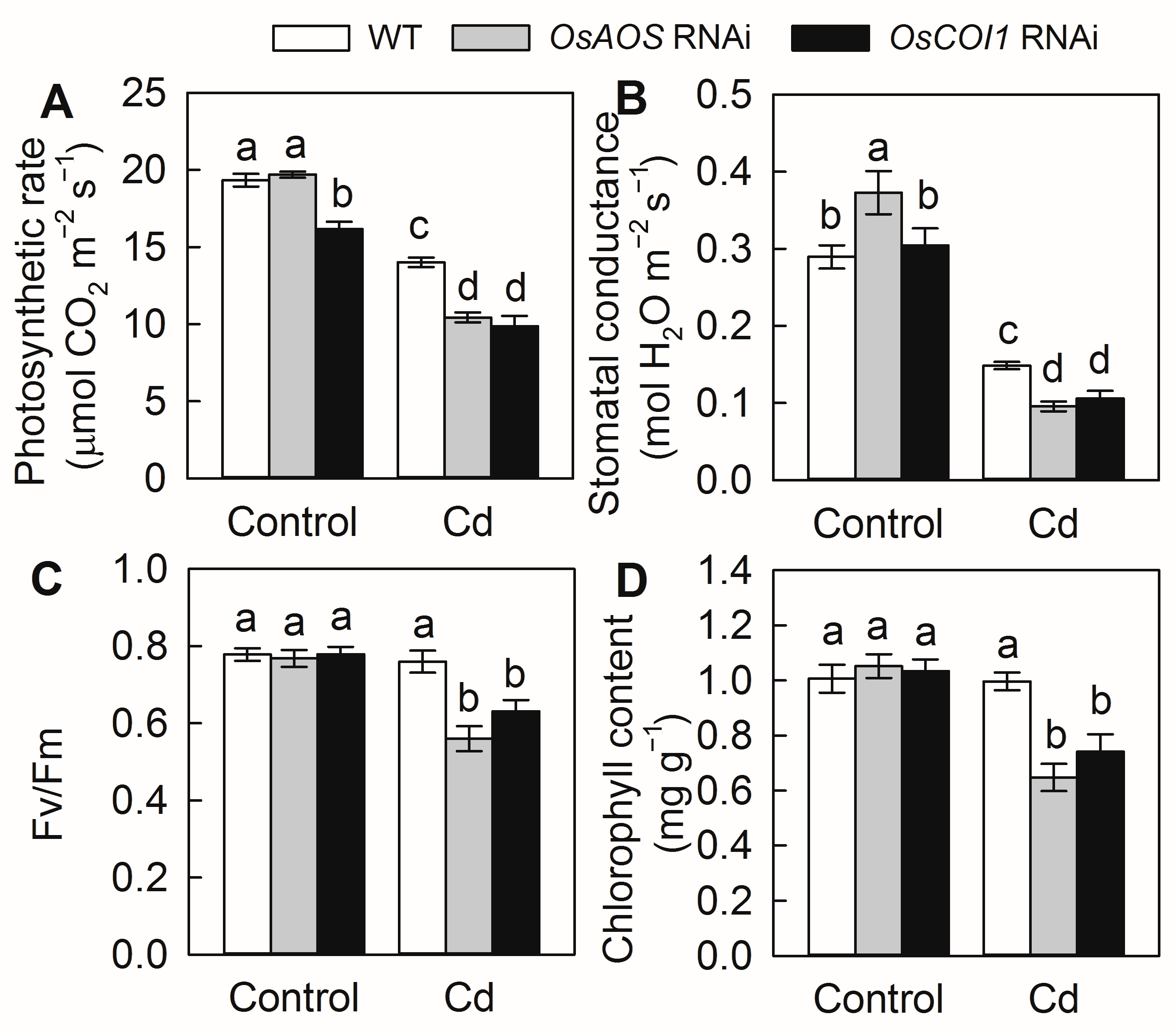 Plants 14 01068 g003