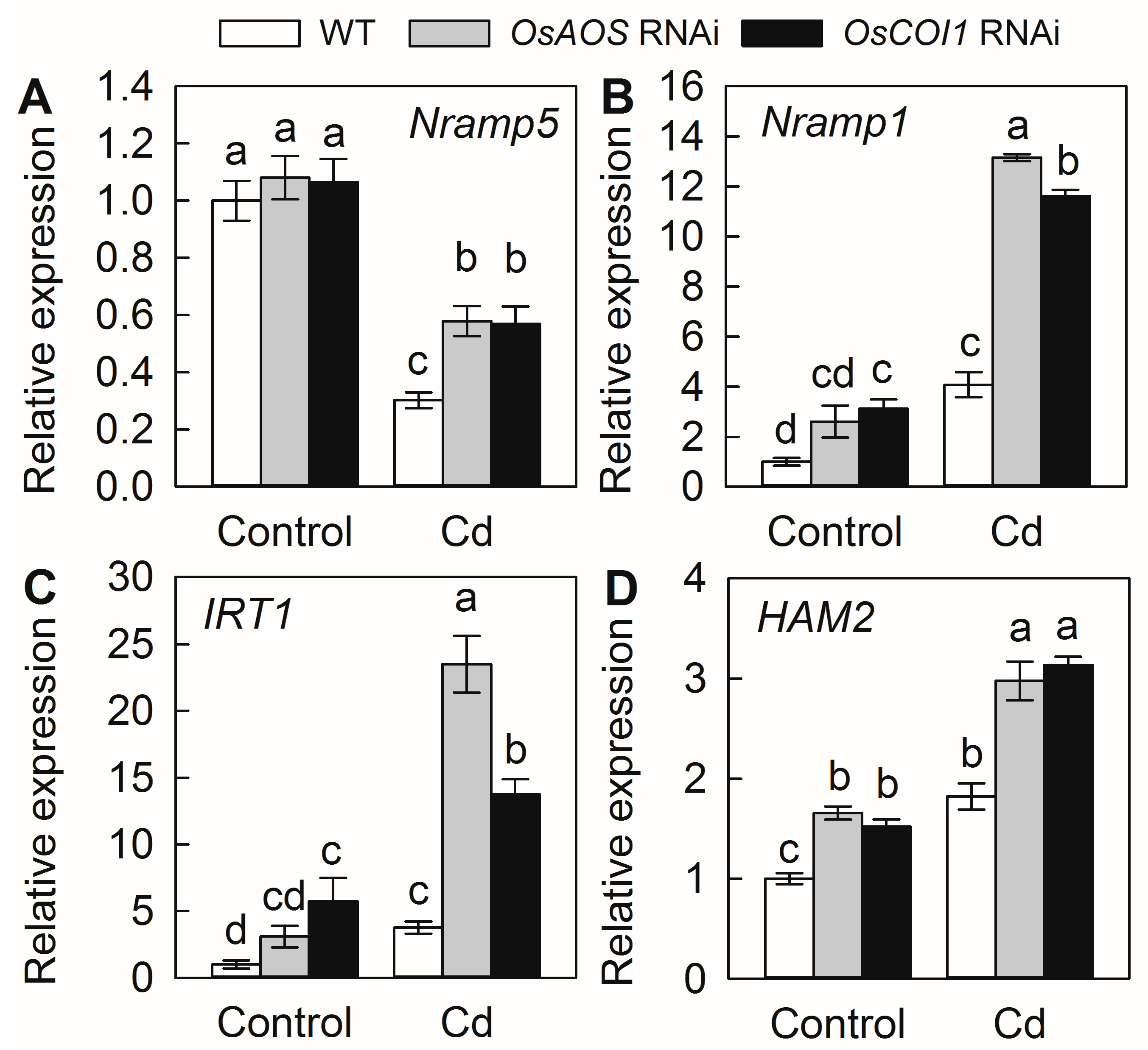 Plants 14 01068 g006