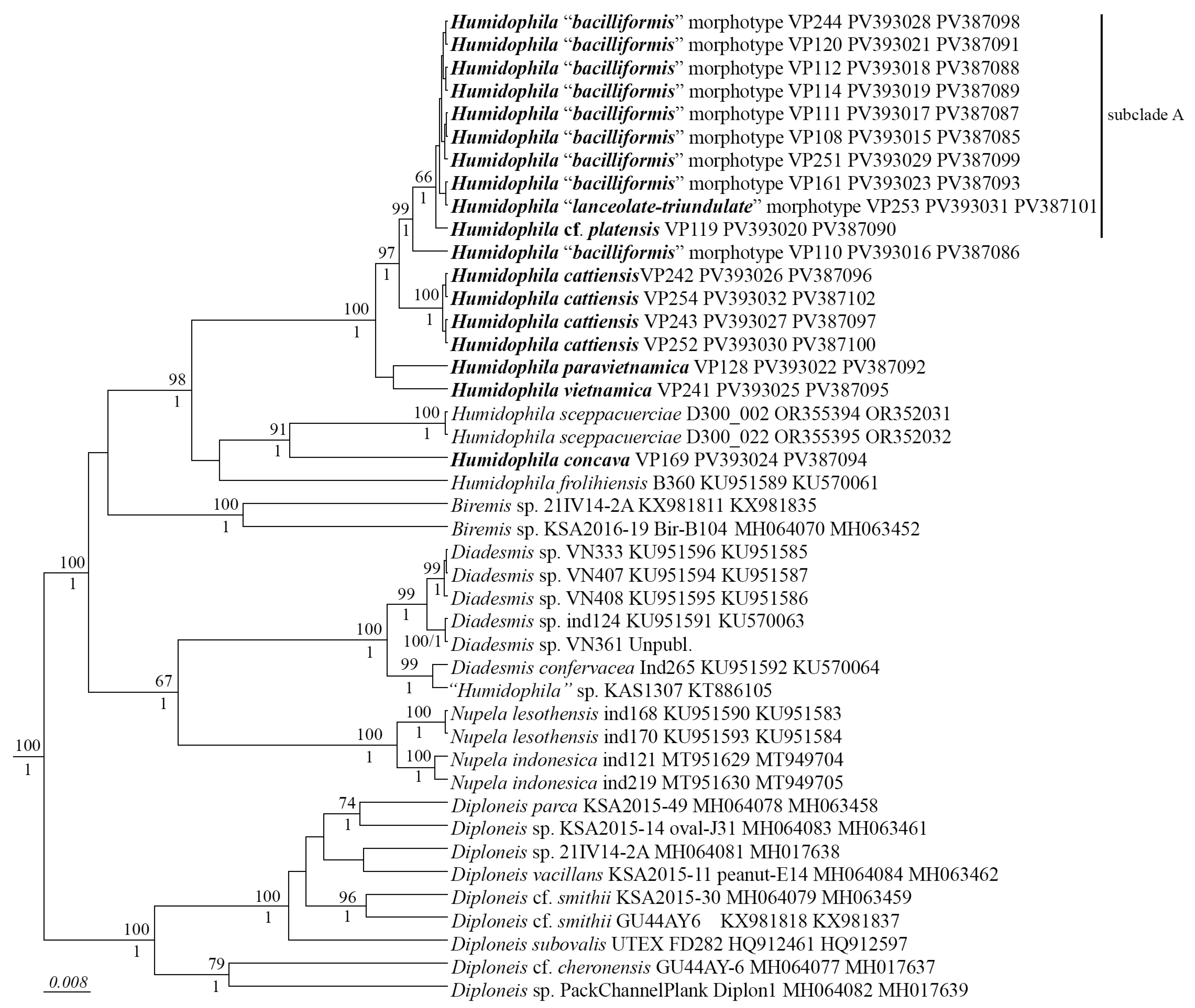 Plants 14 01069 g001