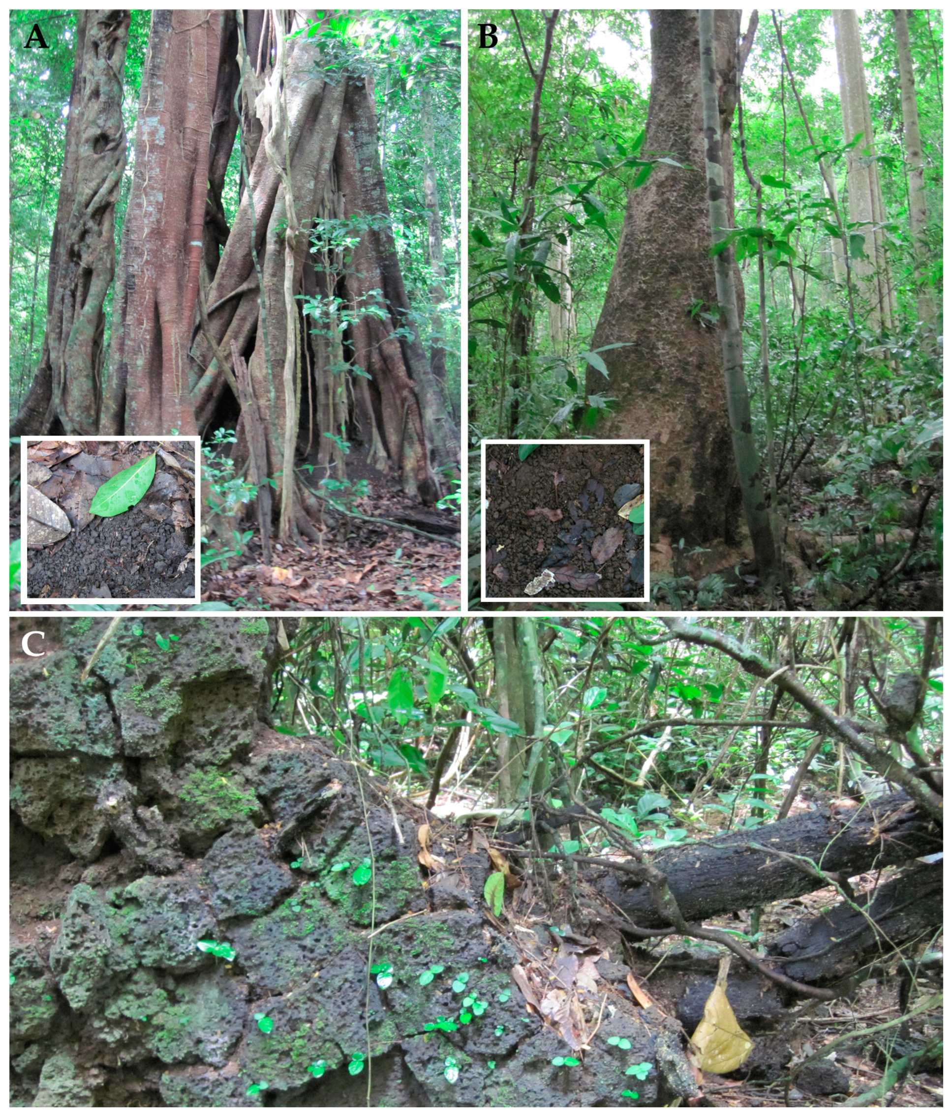 Plants 14 01069 g016