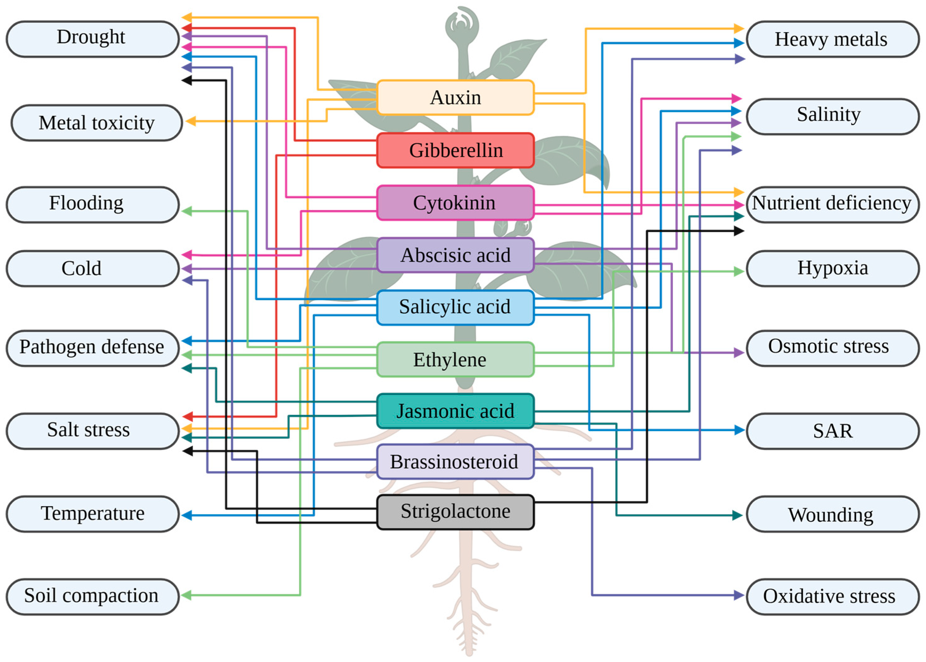 Plants 14 01070 g001 Plants 14 01070 g001