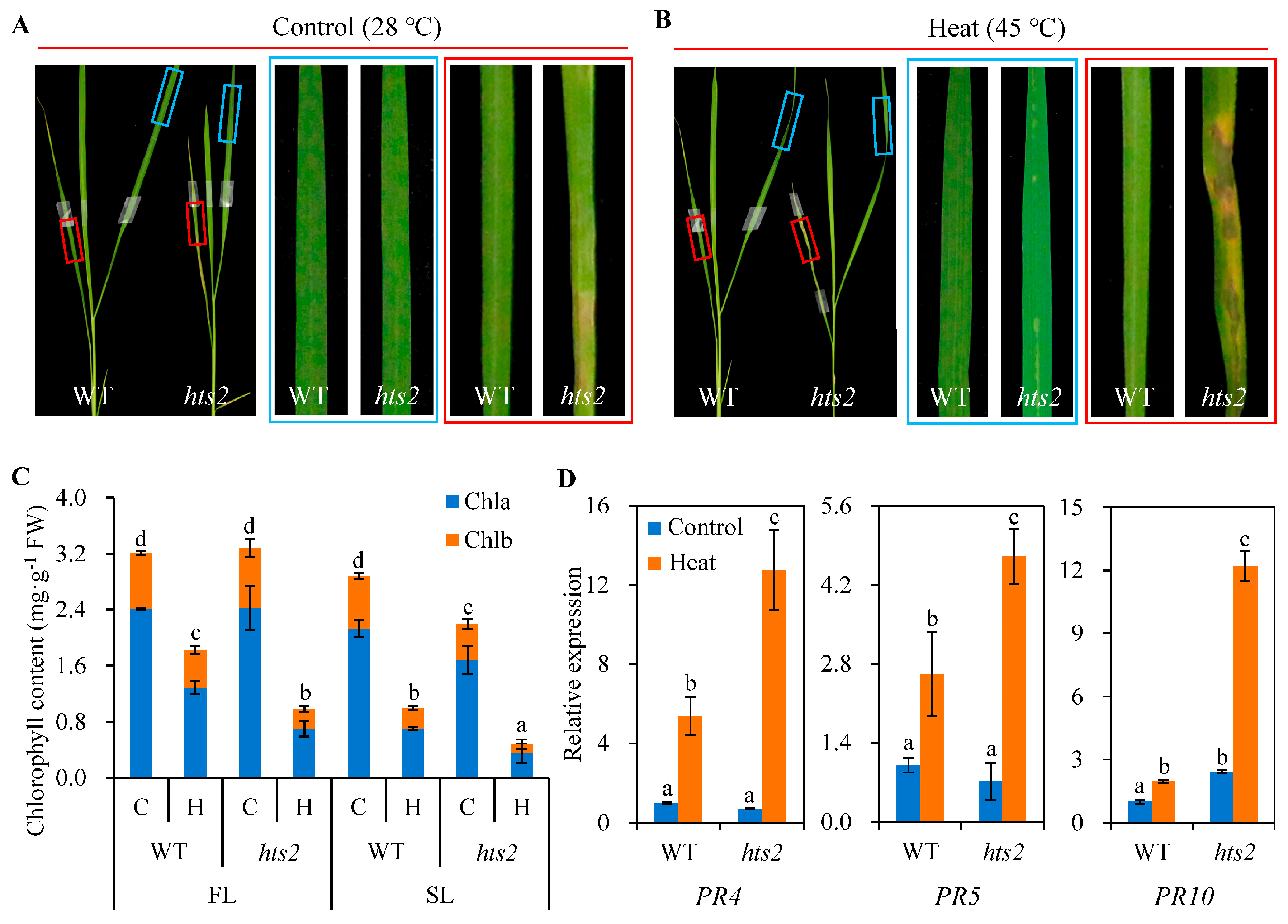 Plants 14 01072 g002