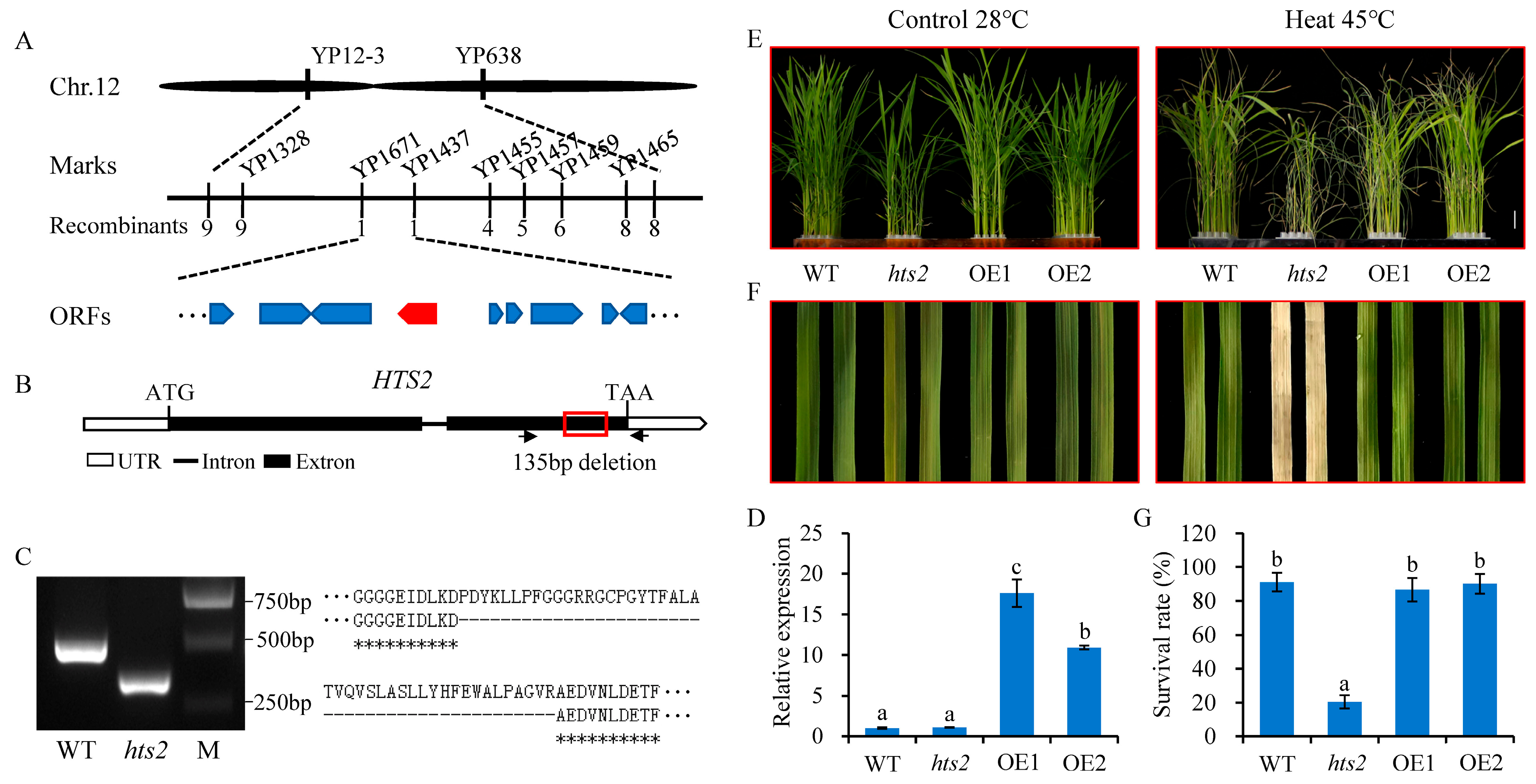Plants 14 01072 g003