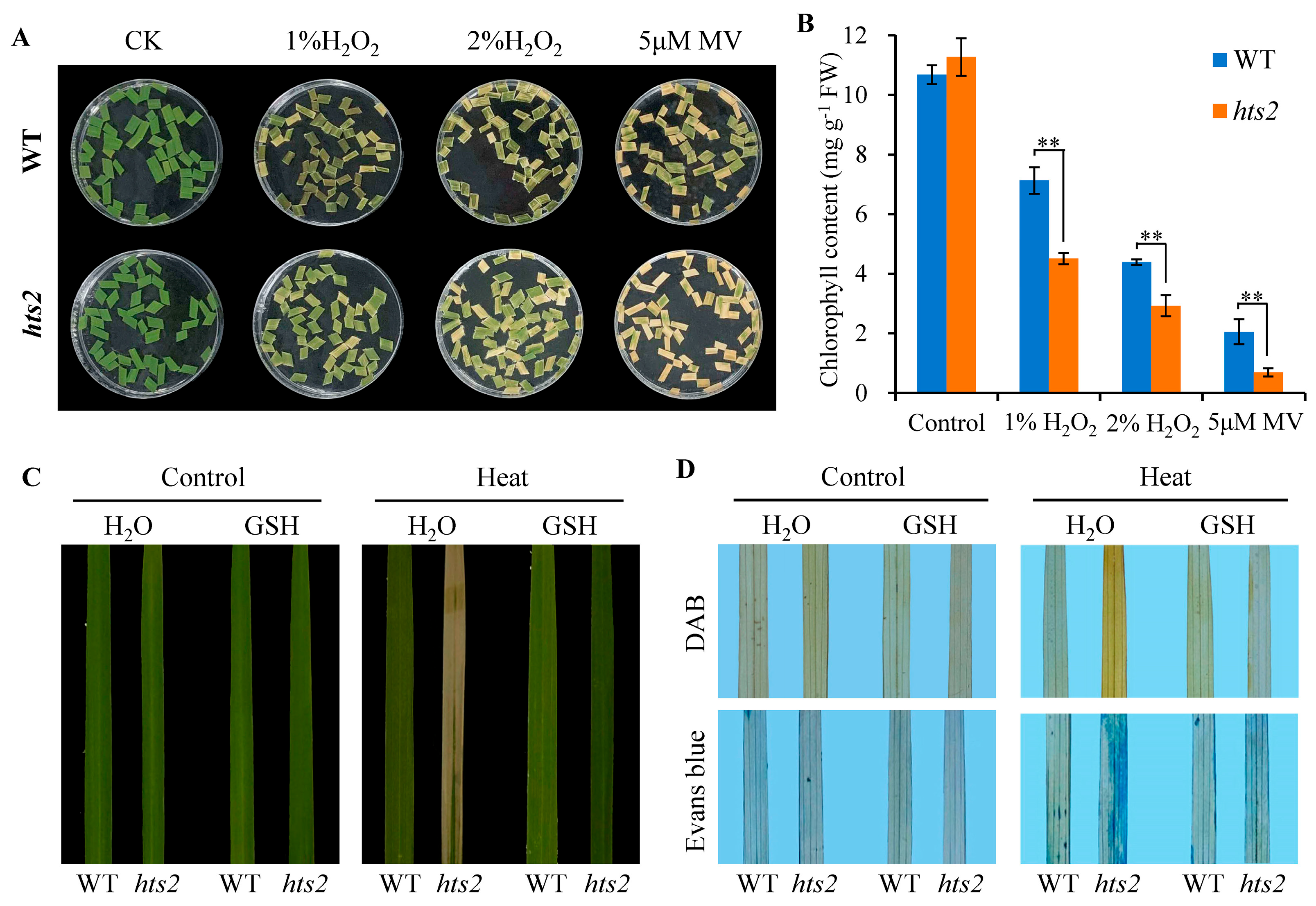 Plants 14 01072 g007