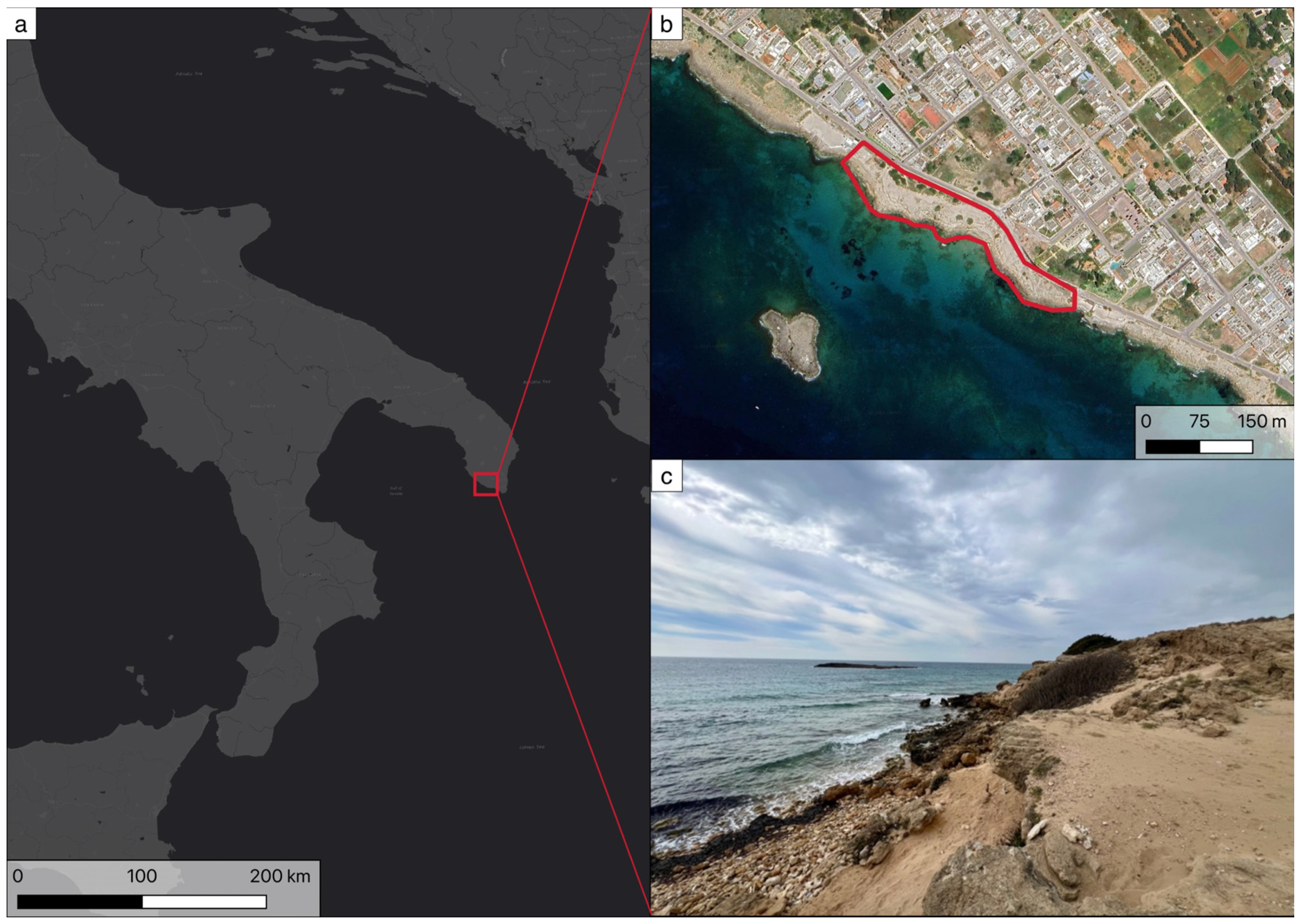 Plants 14 01074 g002