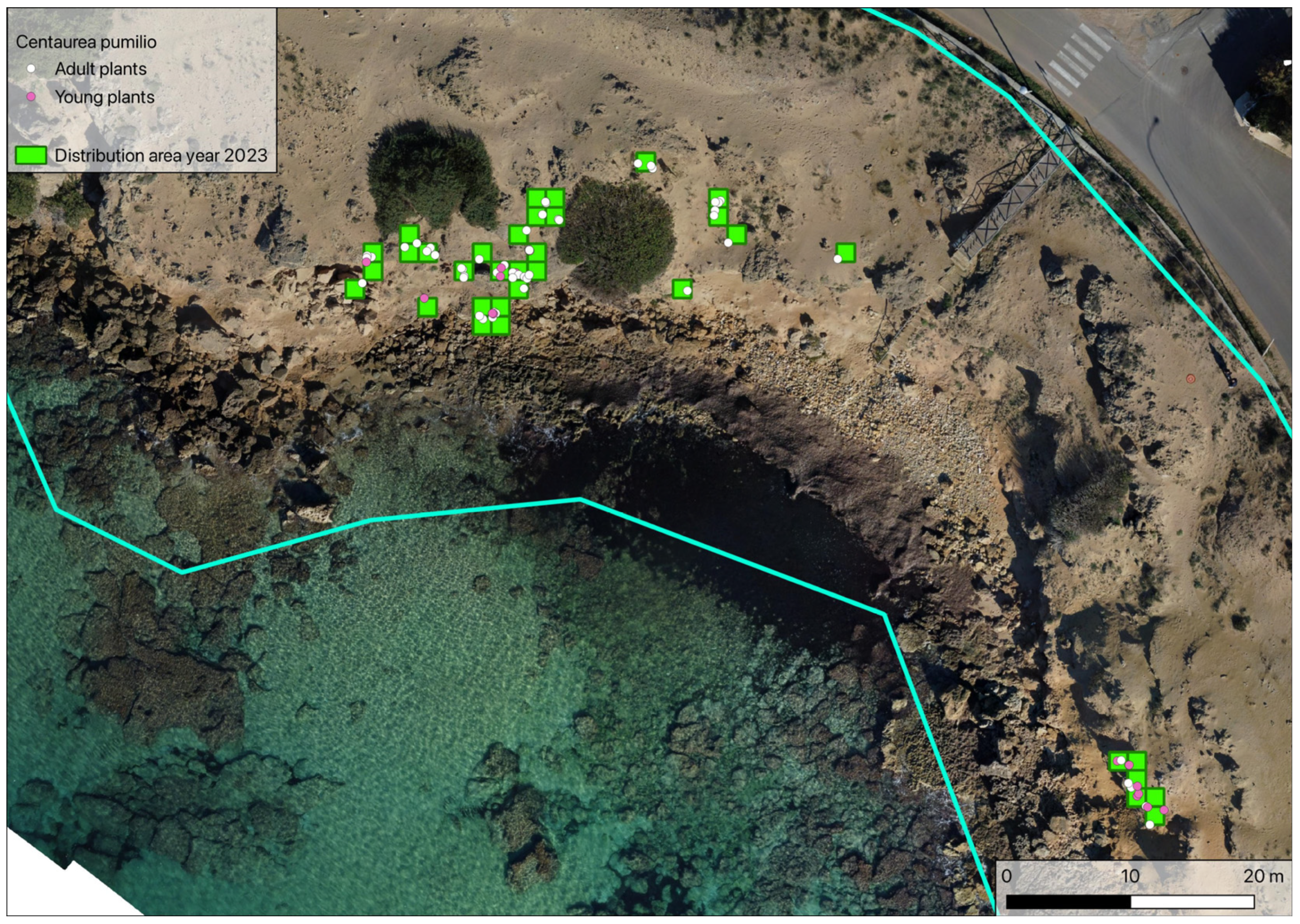 Plants 14 01074 g004