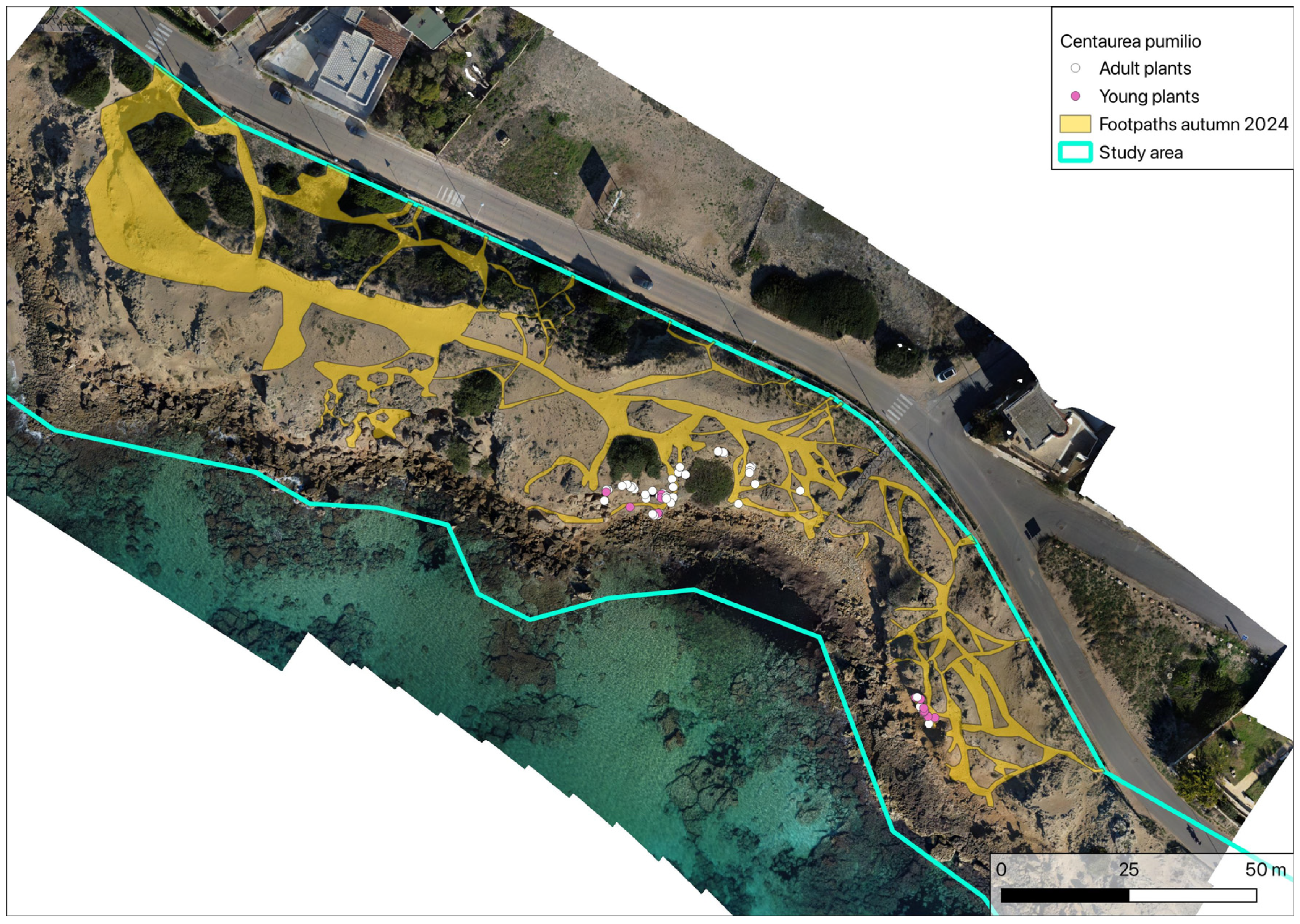 Plants 14 01074 g007