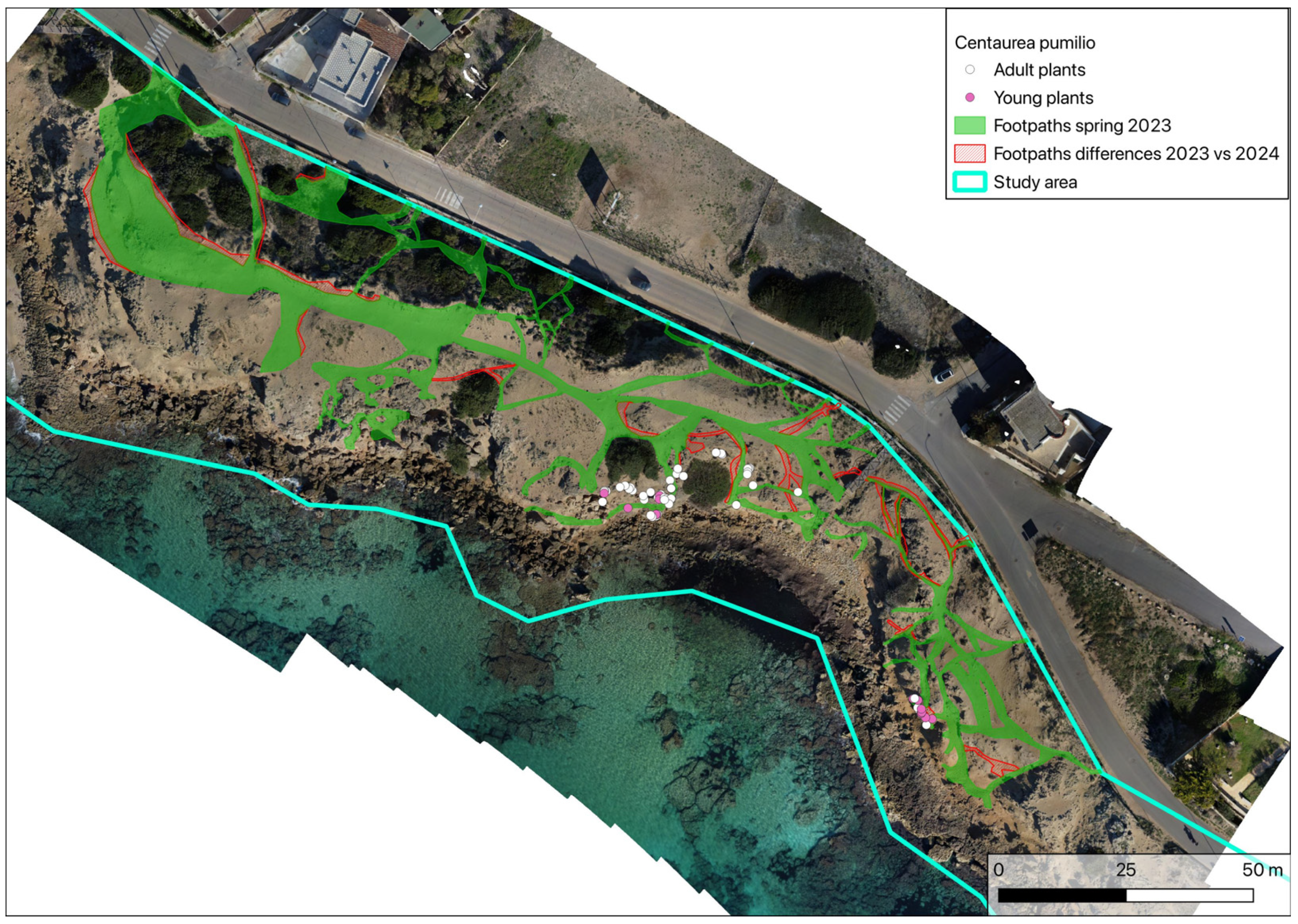 Plants 14 01074 g008