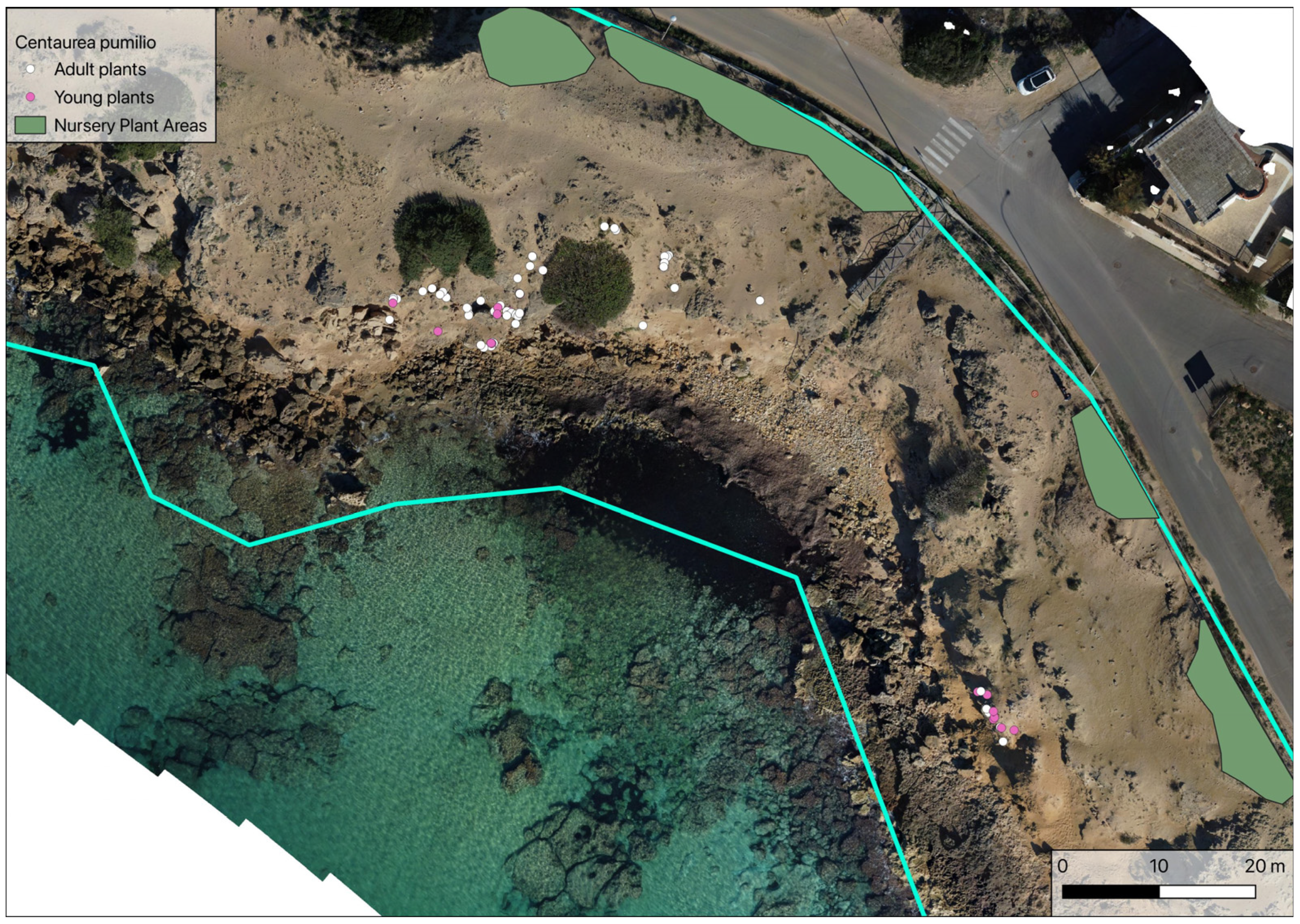 Plants 14 01074 g010