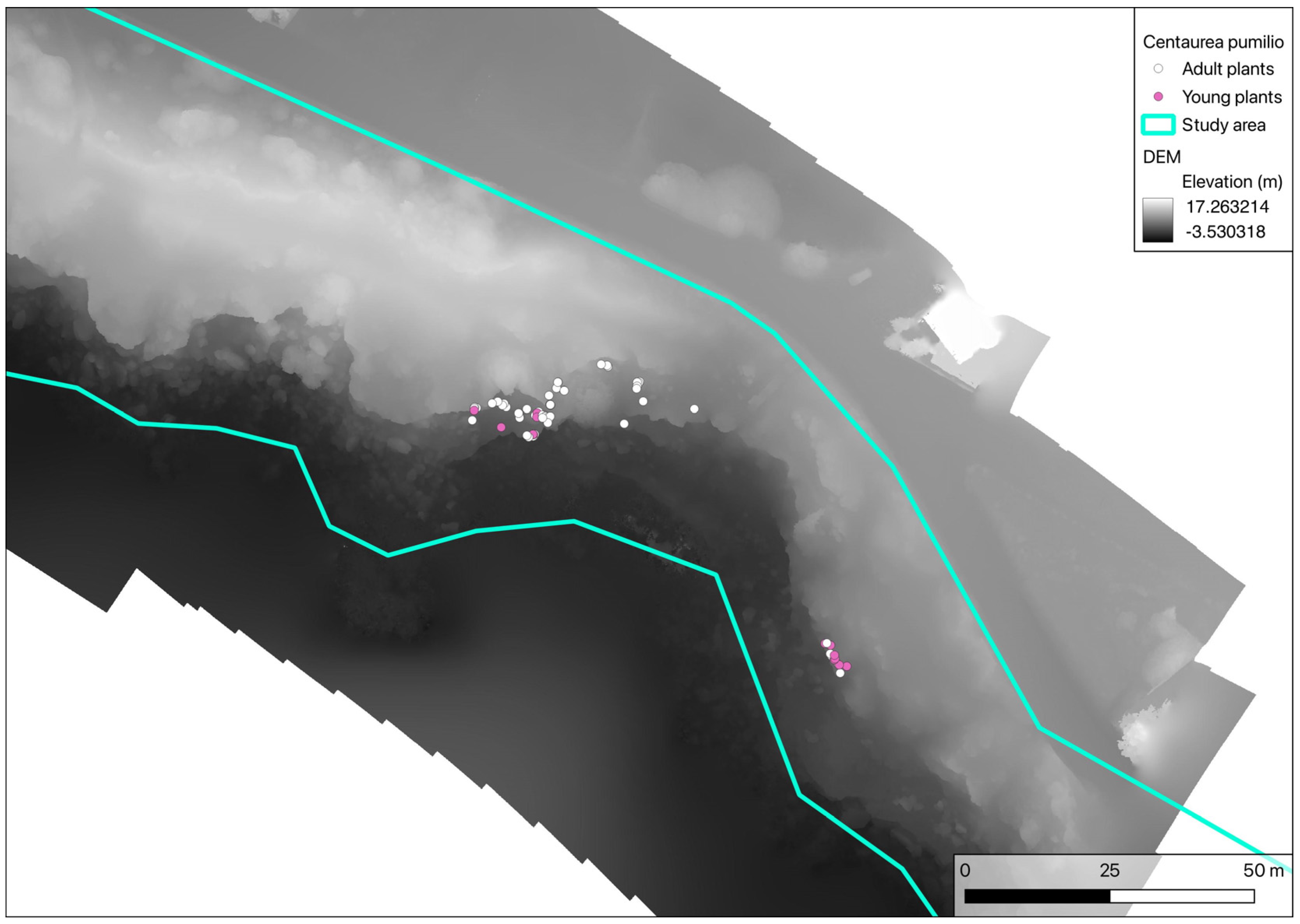 Plants 14 01074 g011
