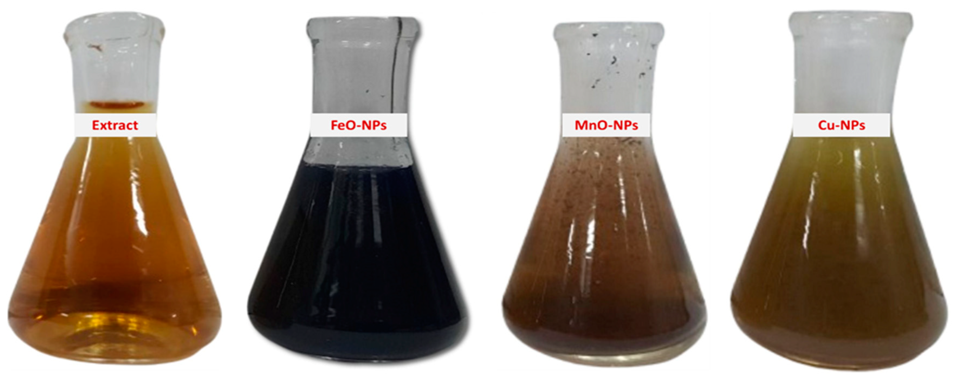 Plants 14 01075 g001