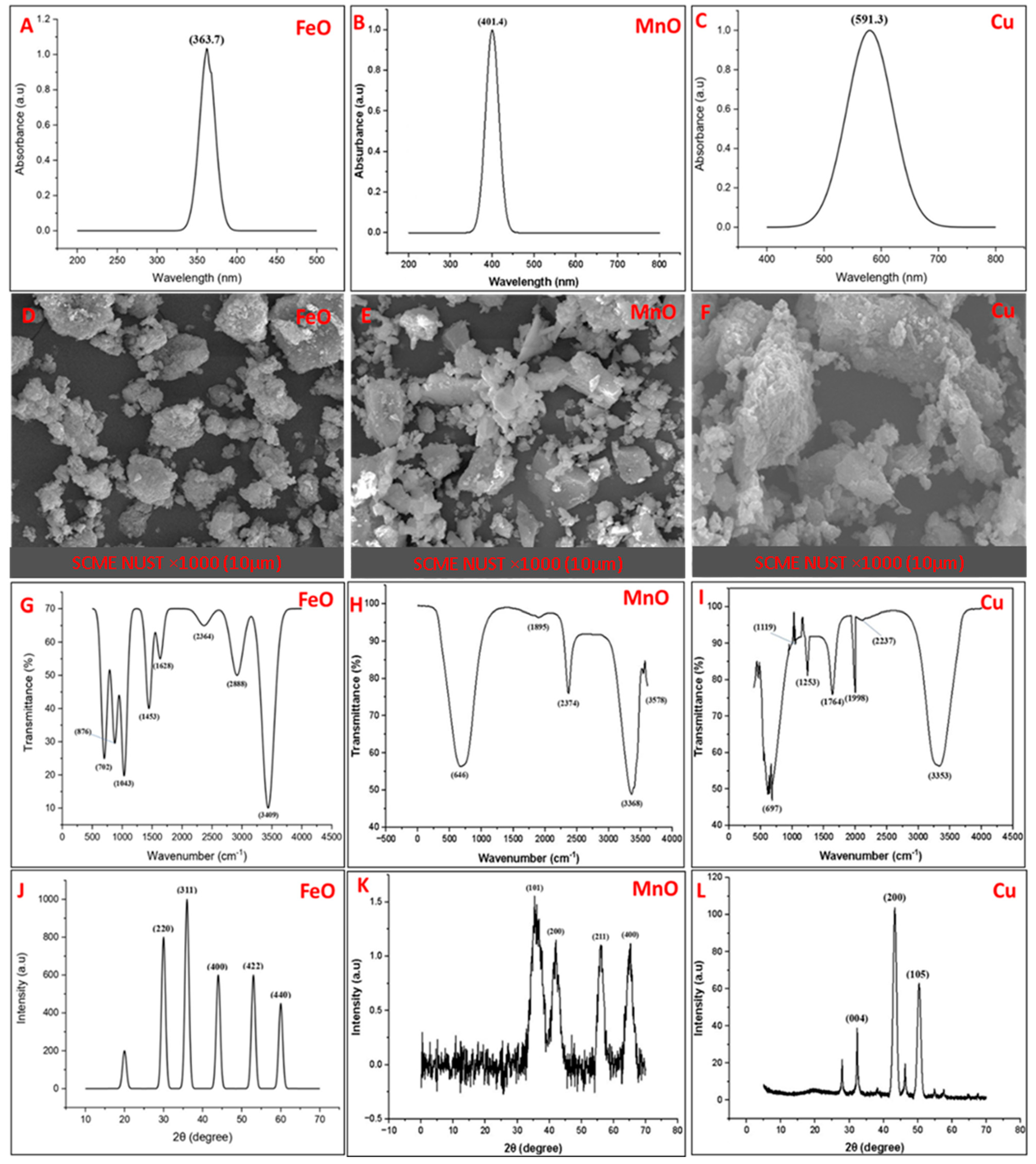 Plants 14 01075 g002