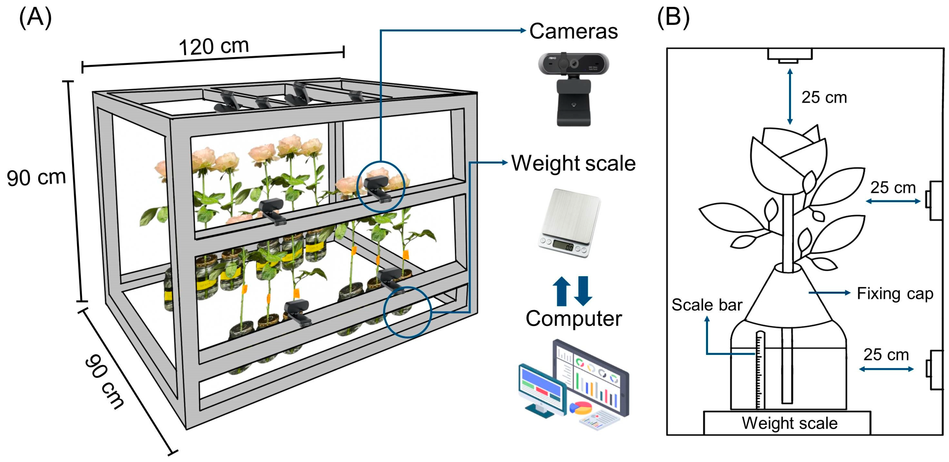 Plants 14 01076 g008