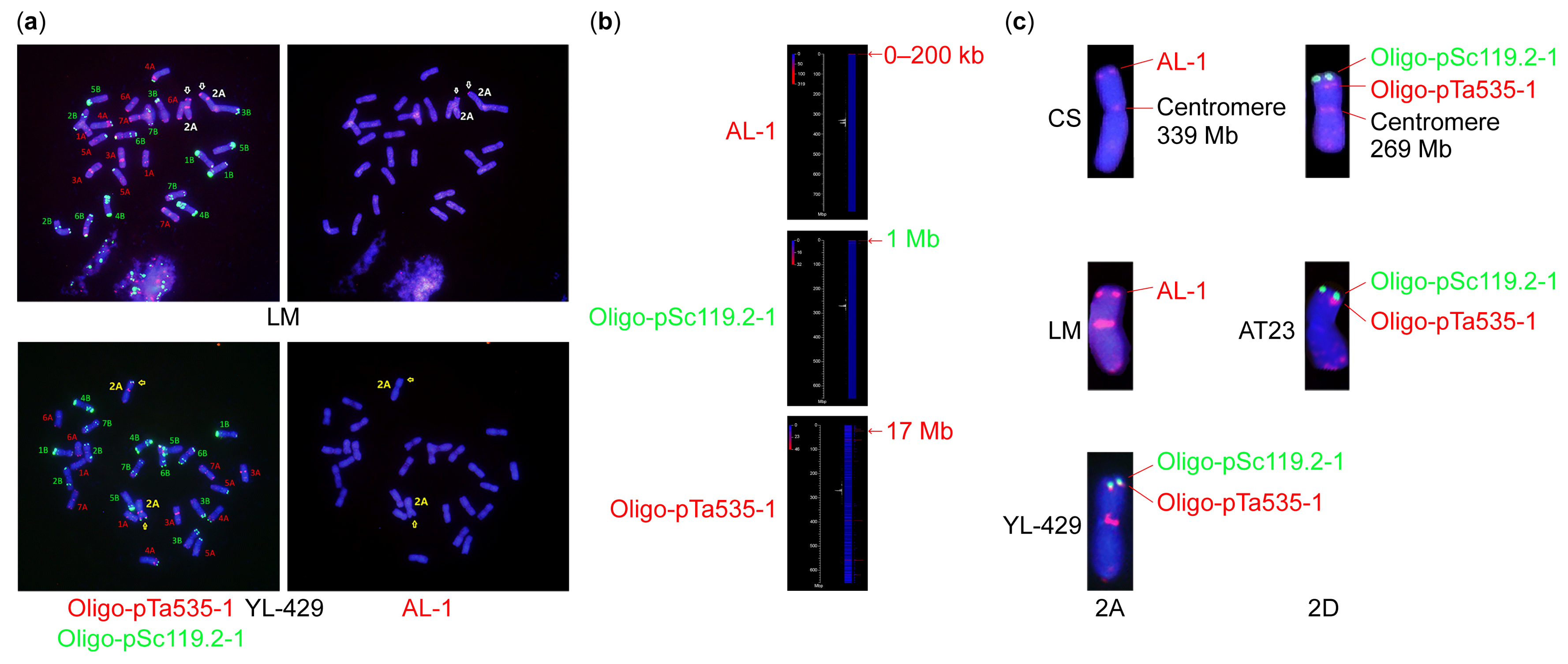 Plants 14 01077 g001