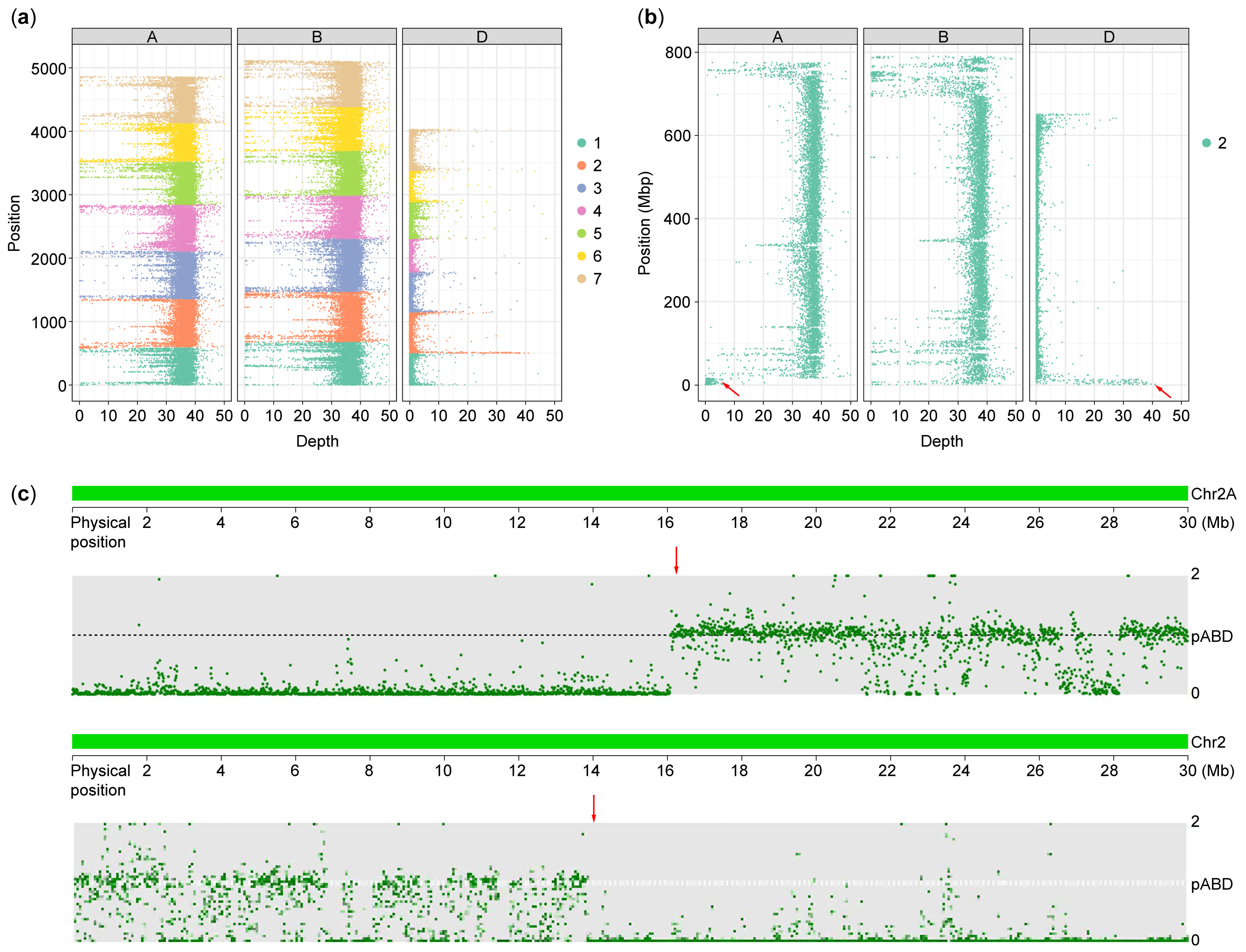Plants 14 01077 g002