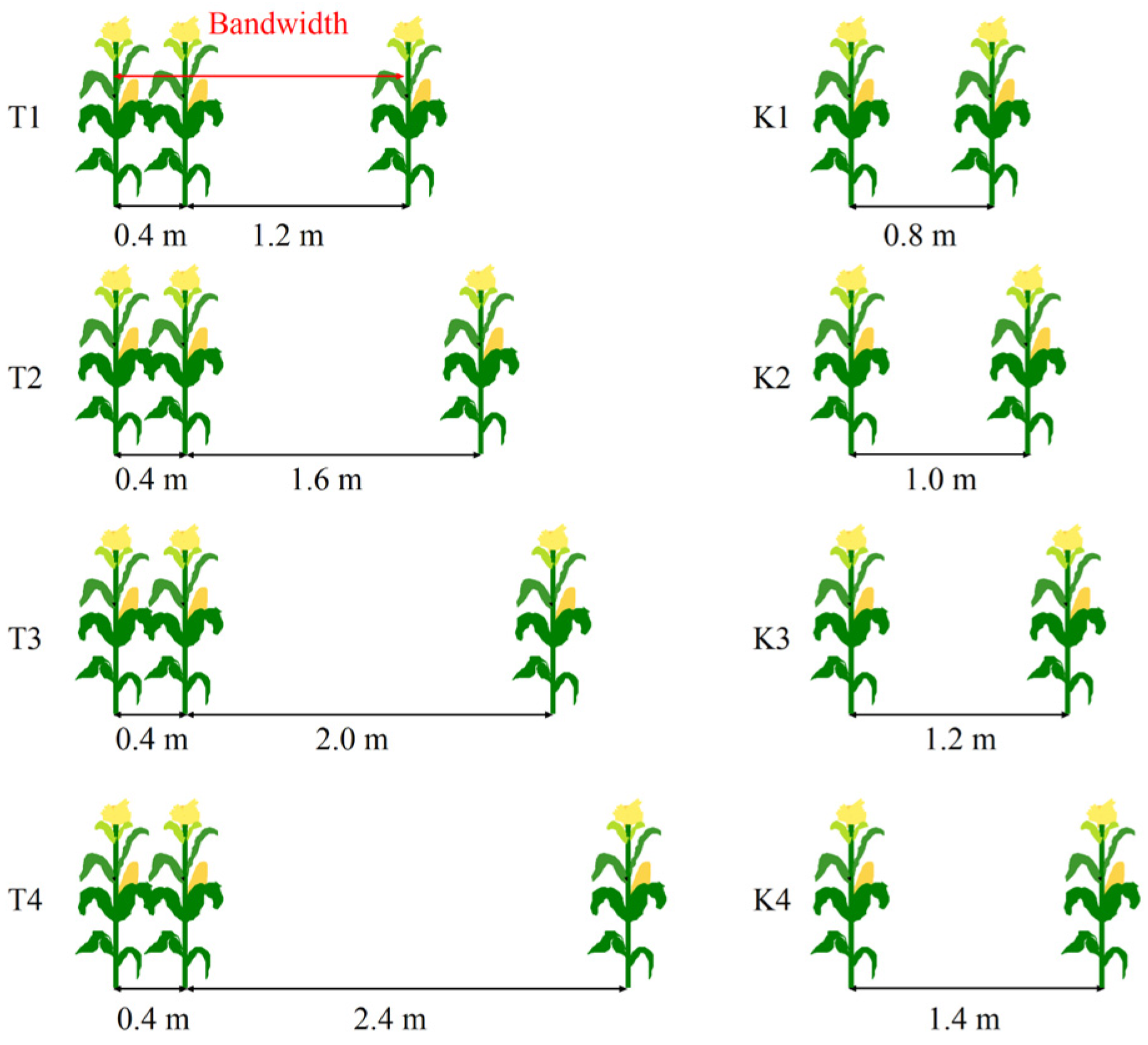 Plants 14 01081 g002