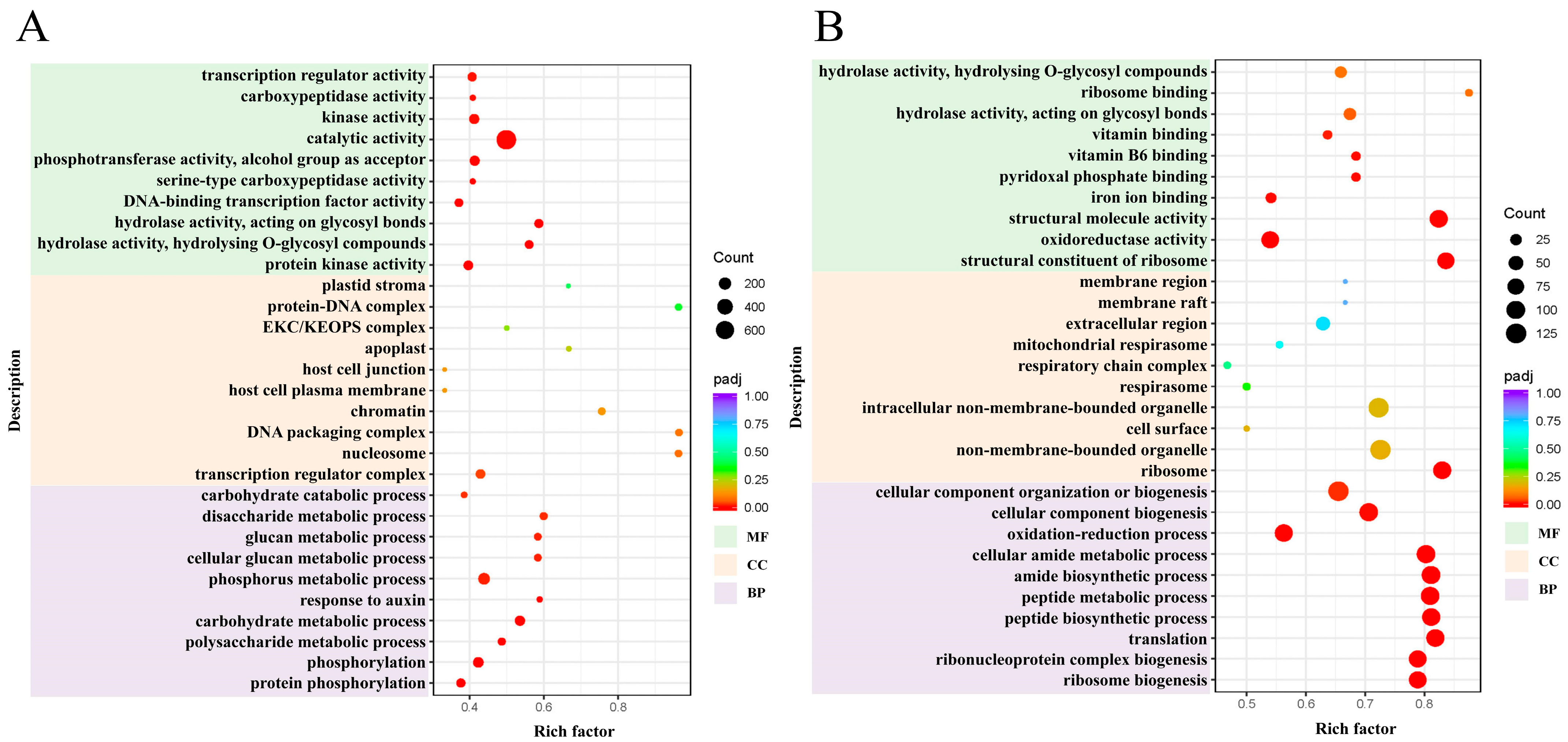 Plants 14 01082 g002