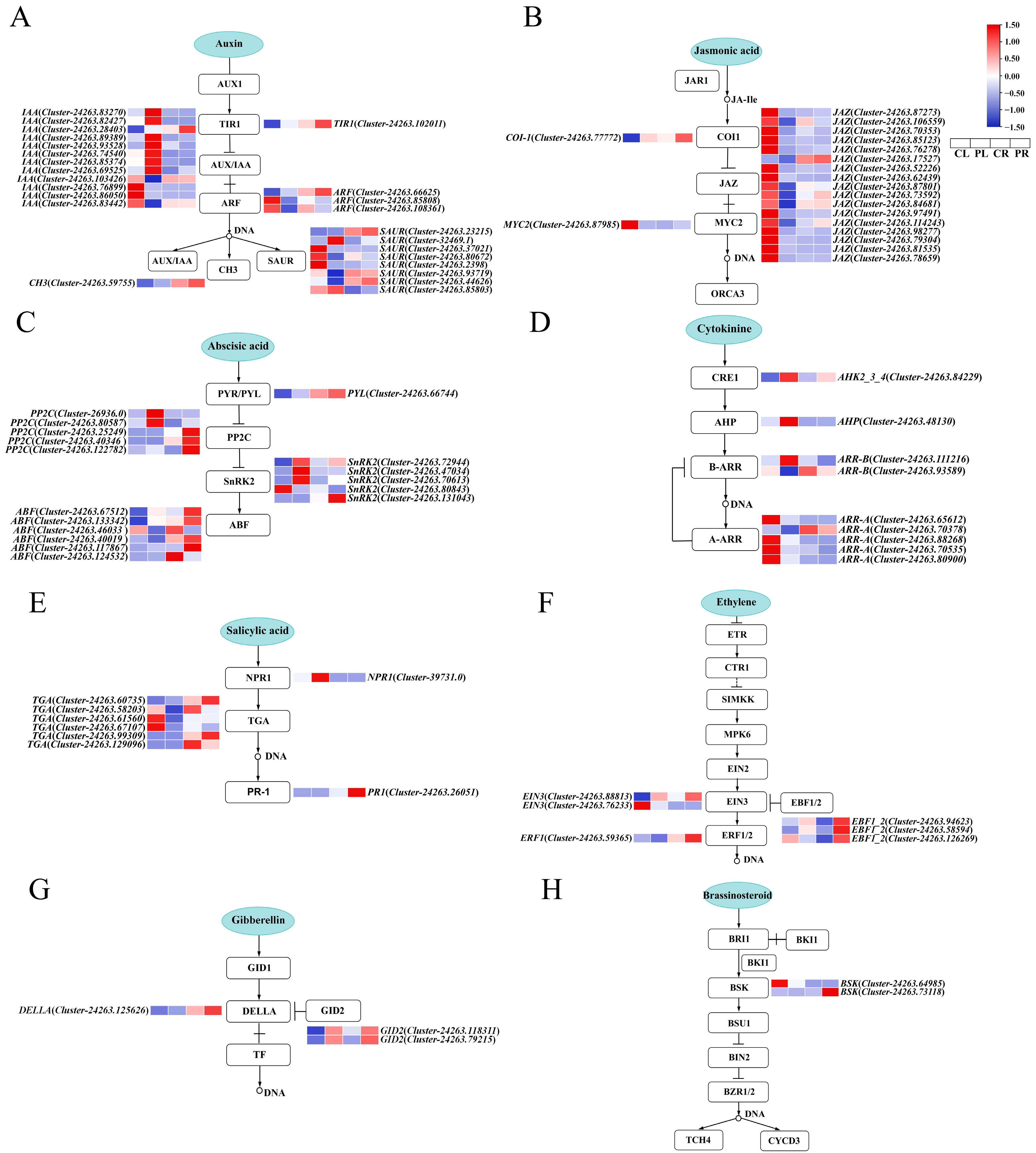 Plants 14 01082 g005