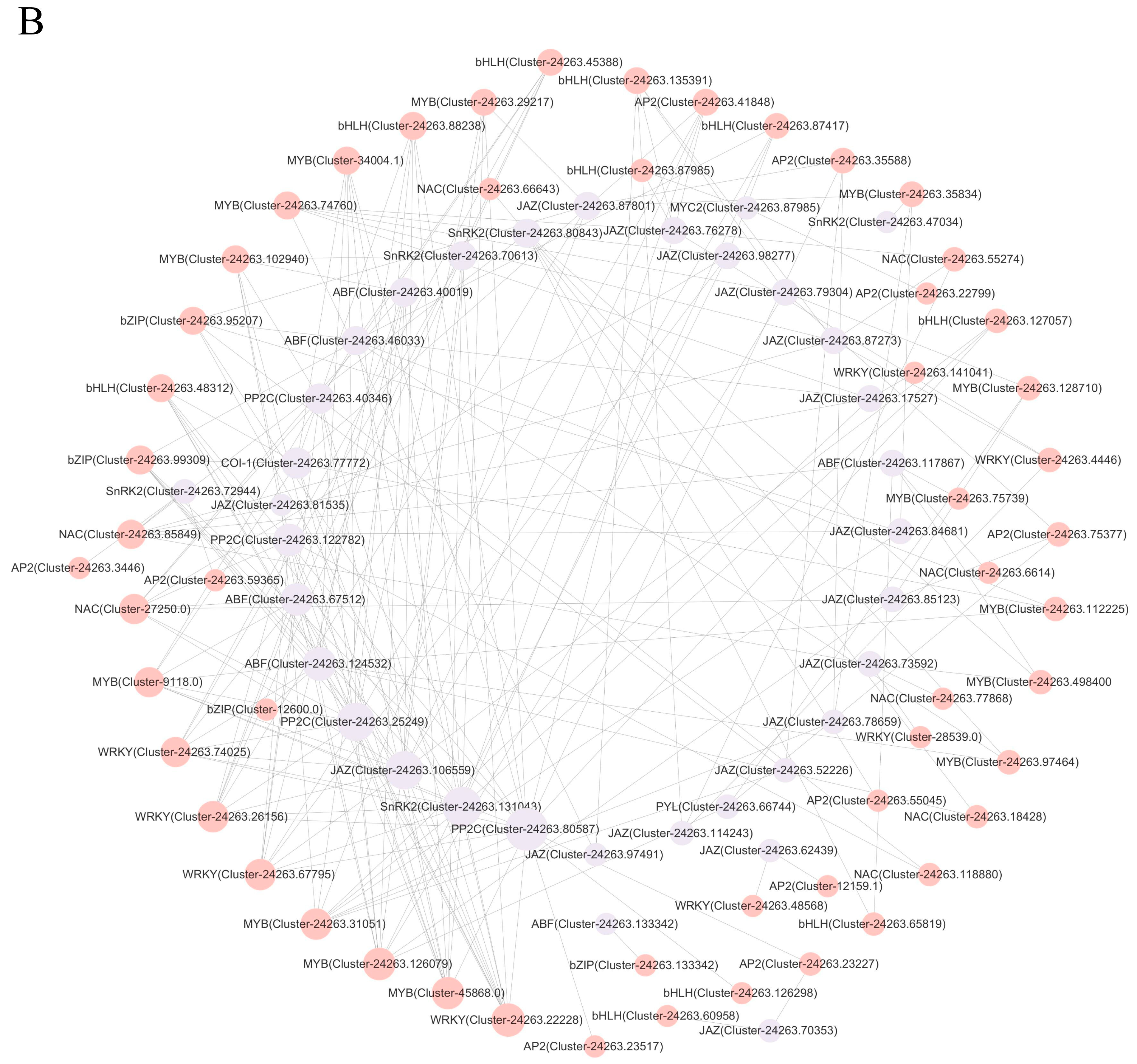 Plants 14 01082 g006b