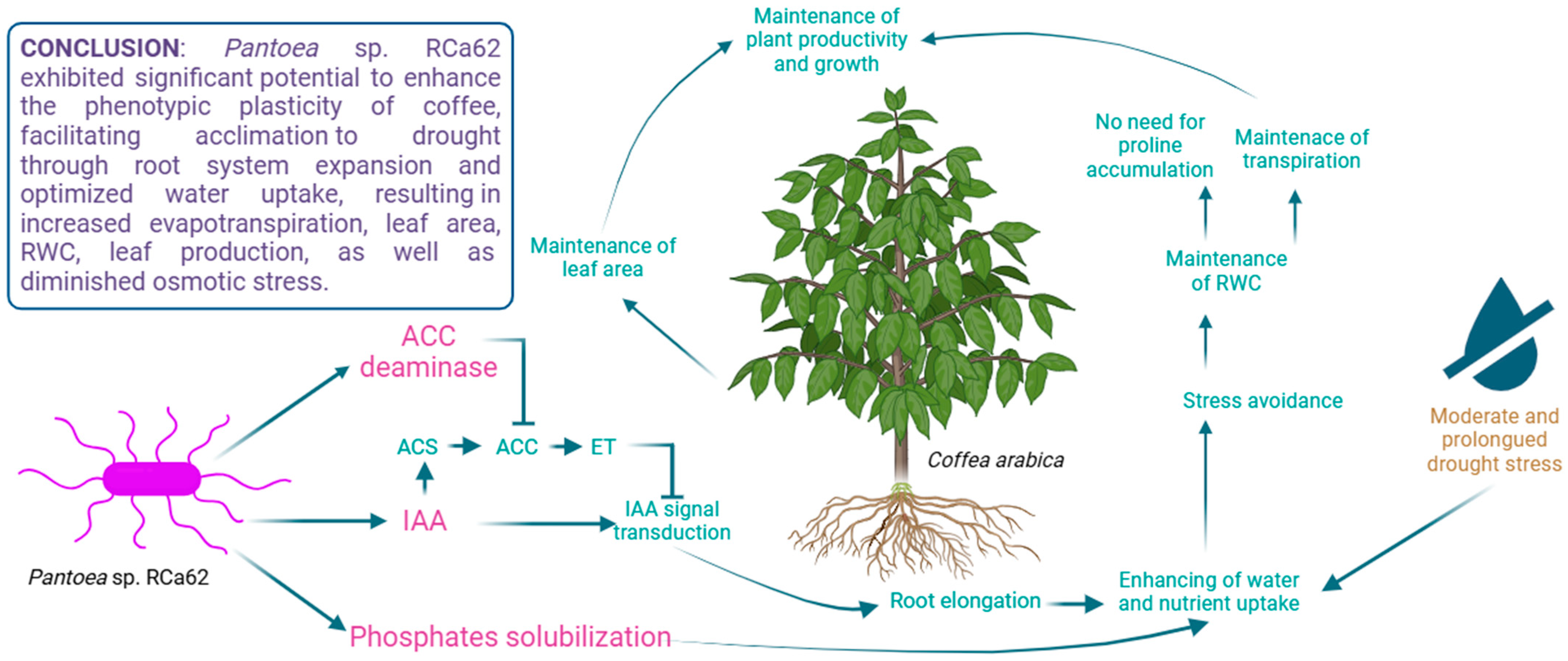 Plants 14 01084 g008