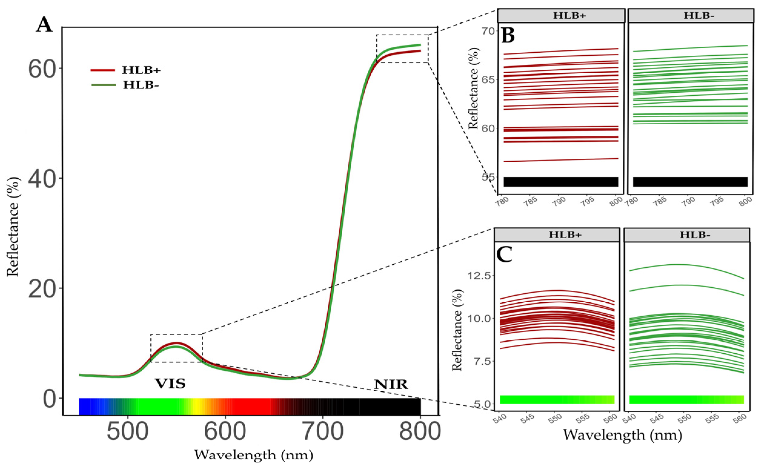Plants 14 01086 g003