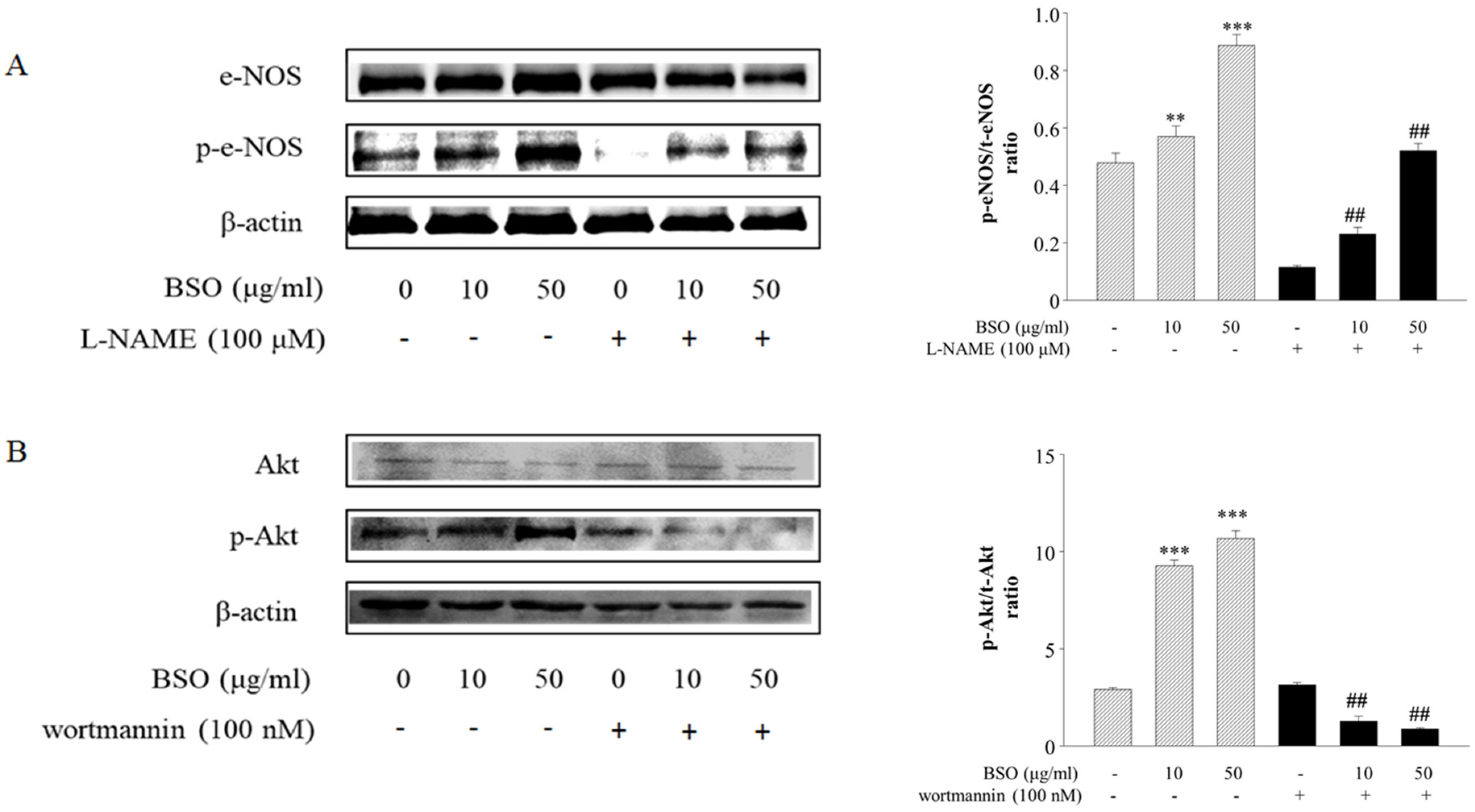Plants 14 01095 g003