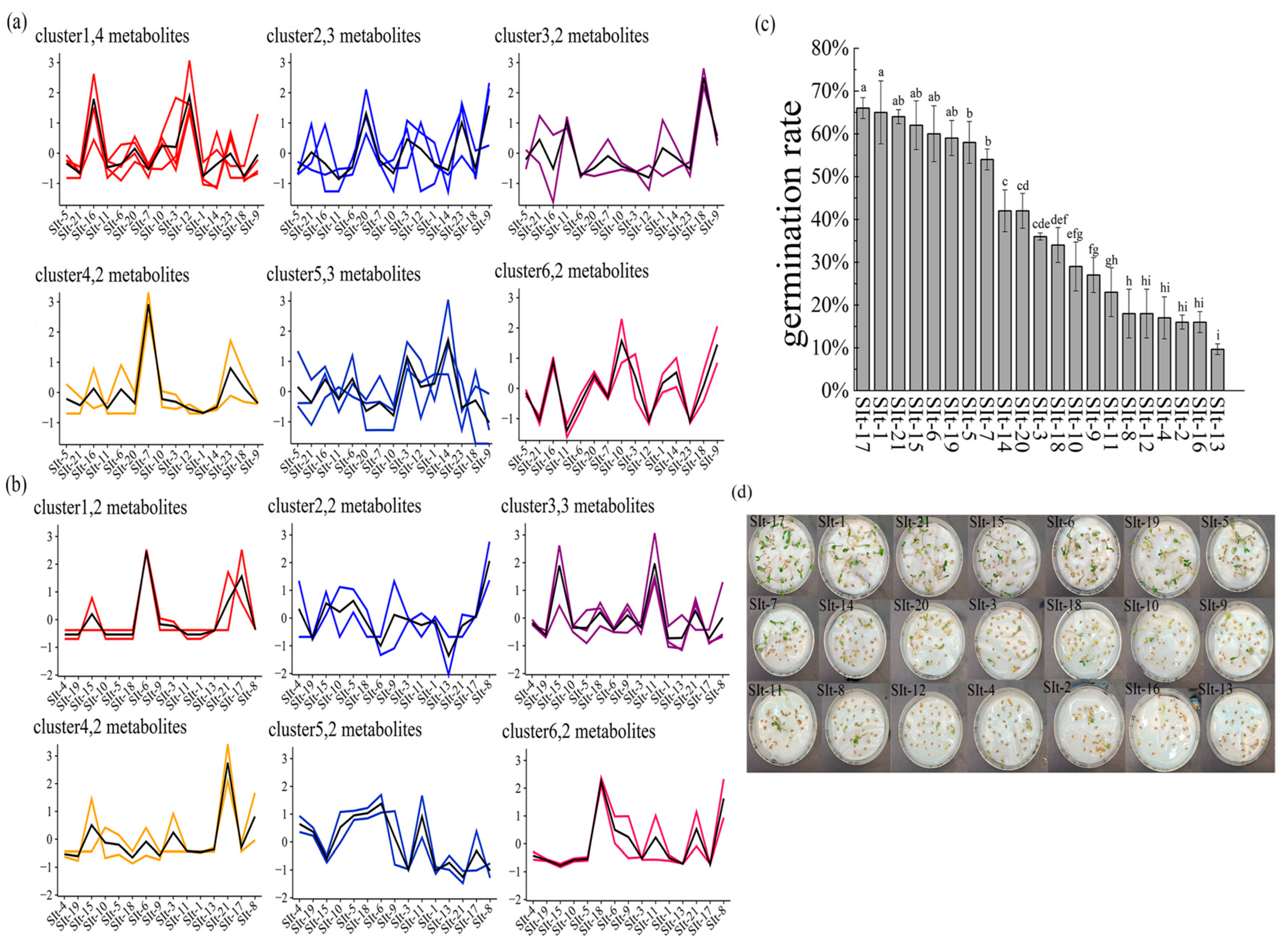 Plants 14 01096 g003