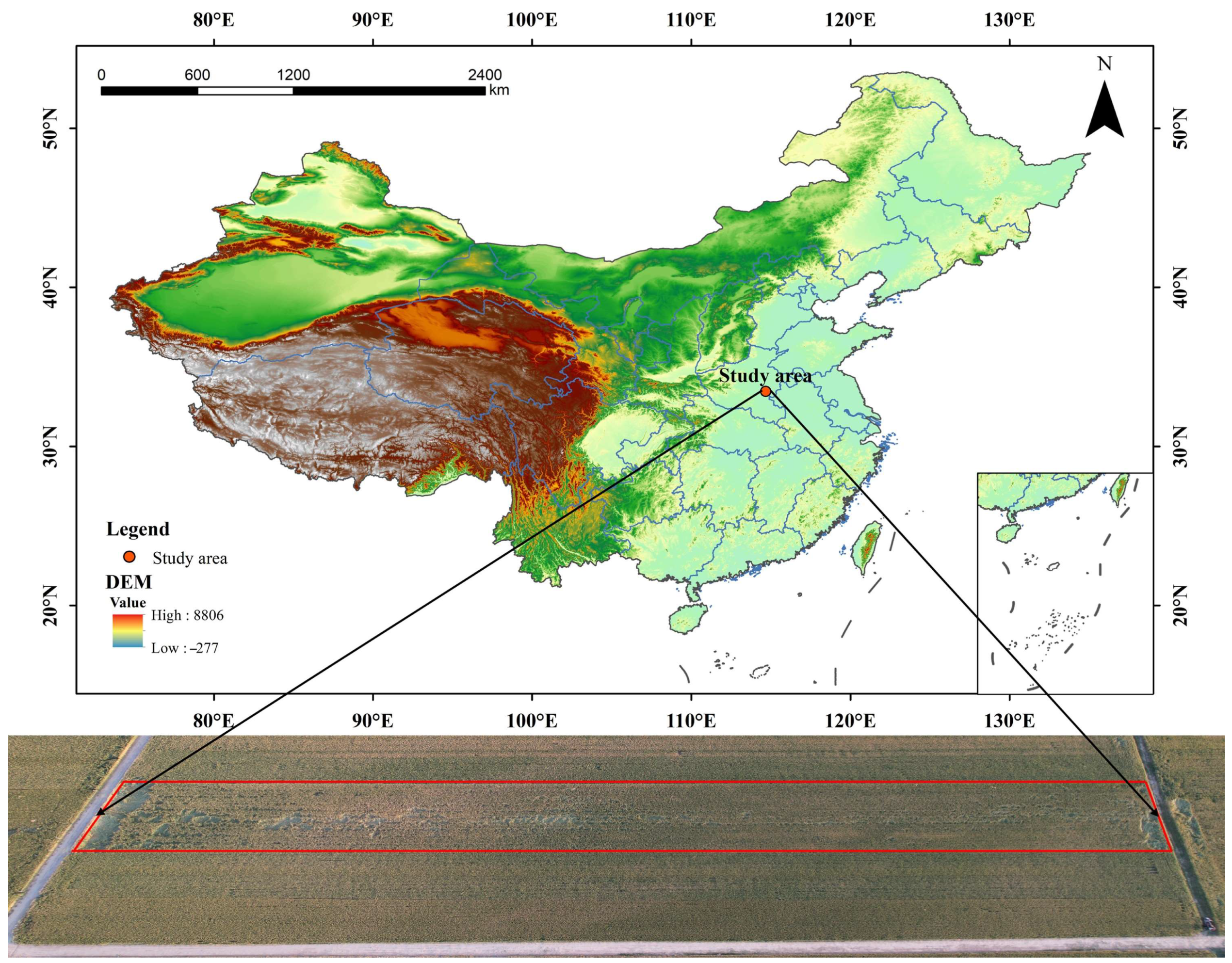 Plants 14 01098 g001