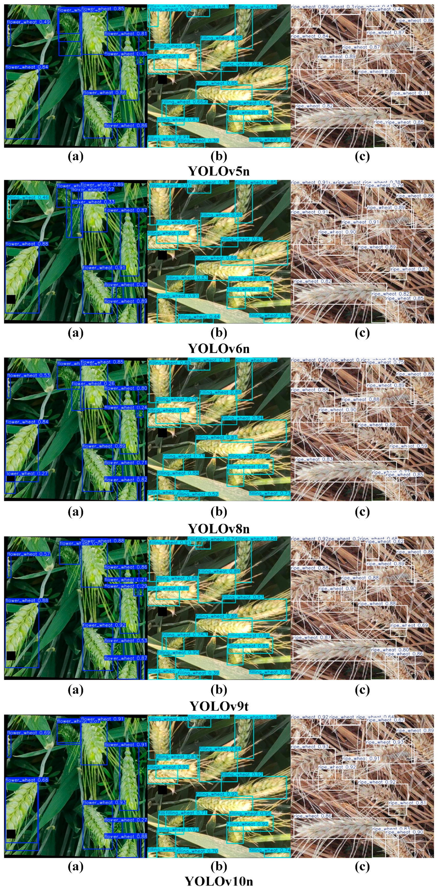 Plants 14 01098 g010a