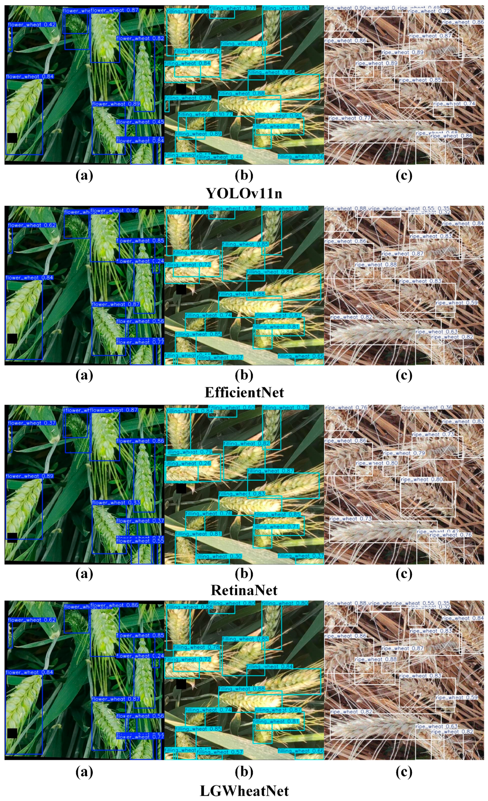 Plants 14 01098 g010b