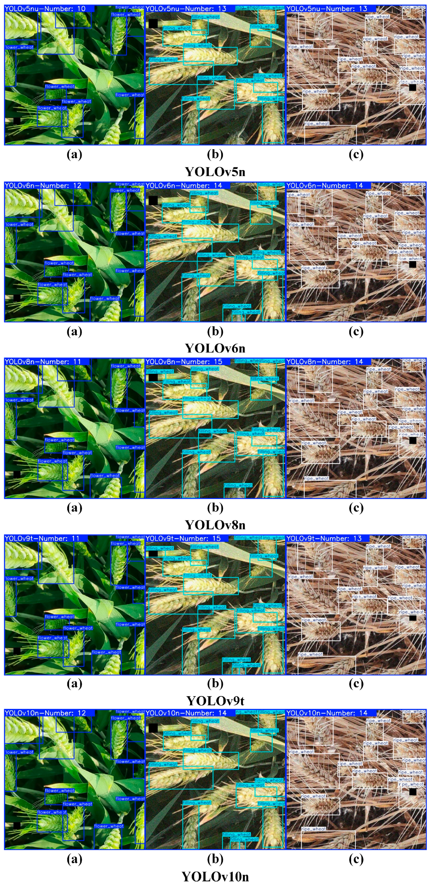 Plants 14 01098 g012a