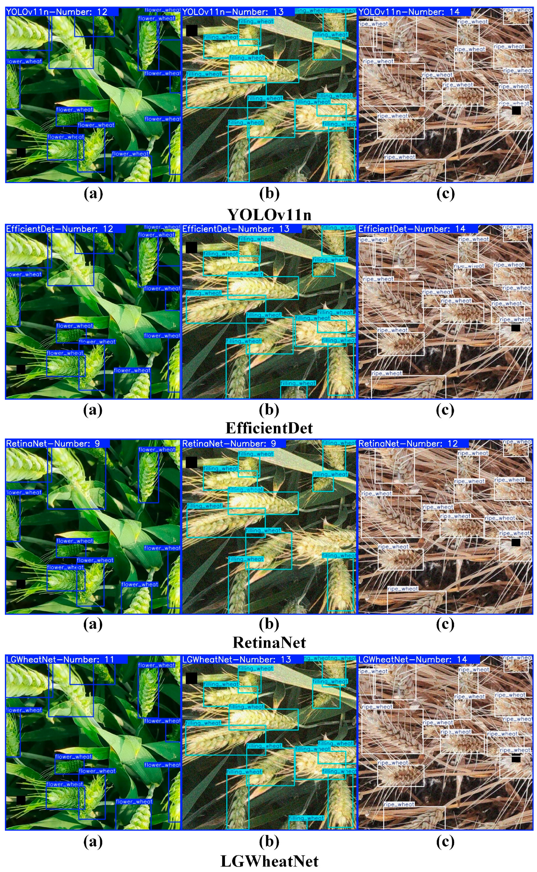 Plants 14 01098 g012b