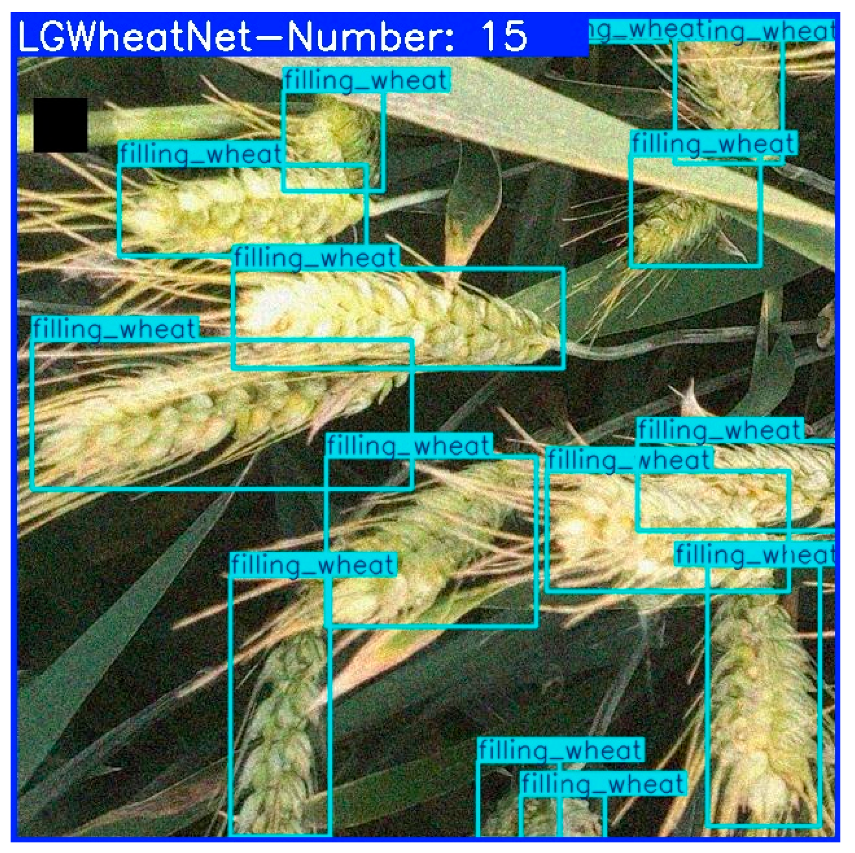 Plants 14 01098 g013