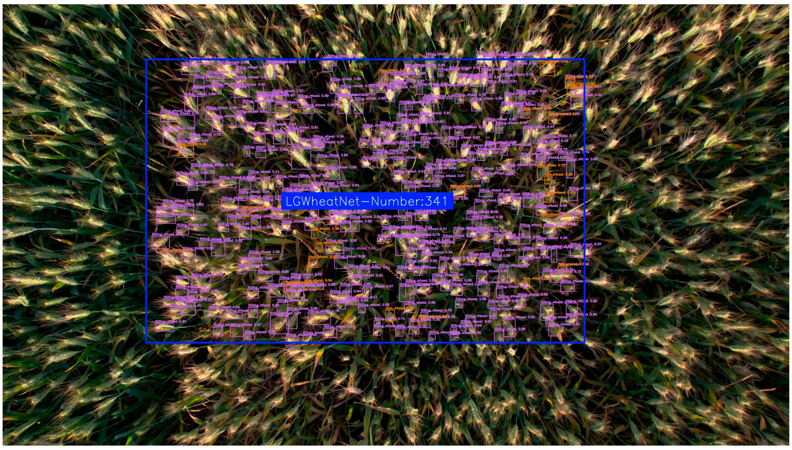 Plants 14 01098 g015