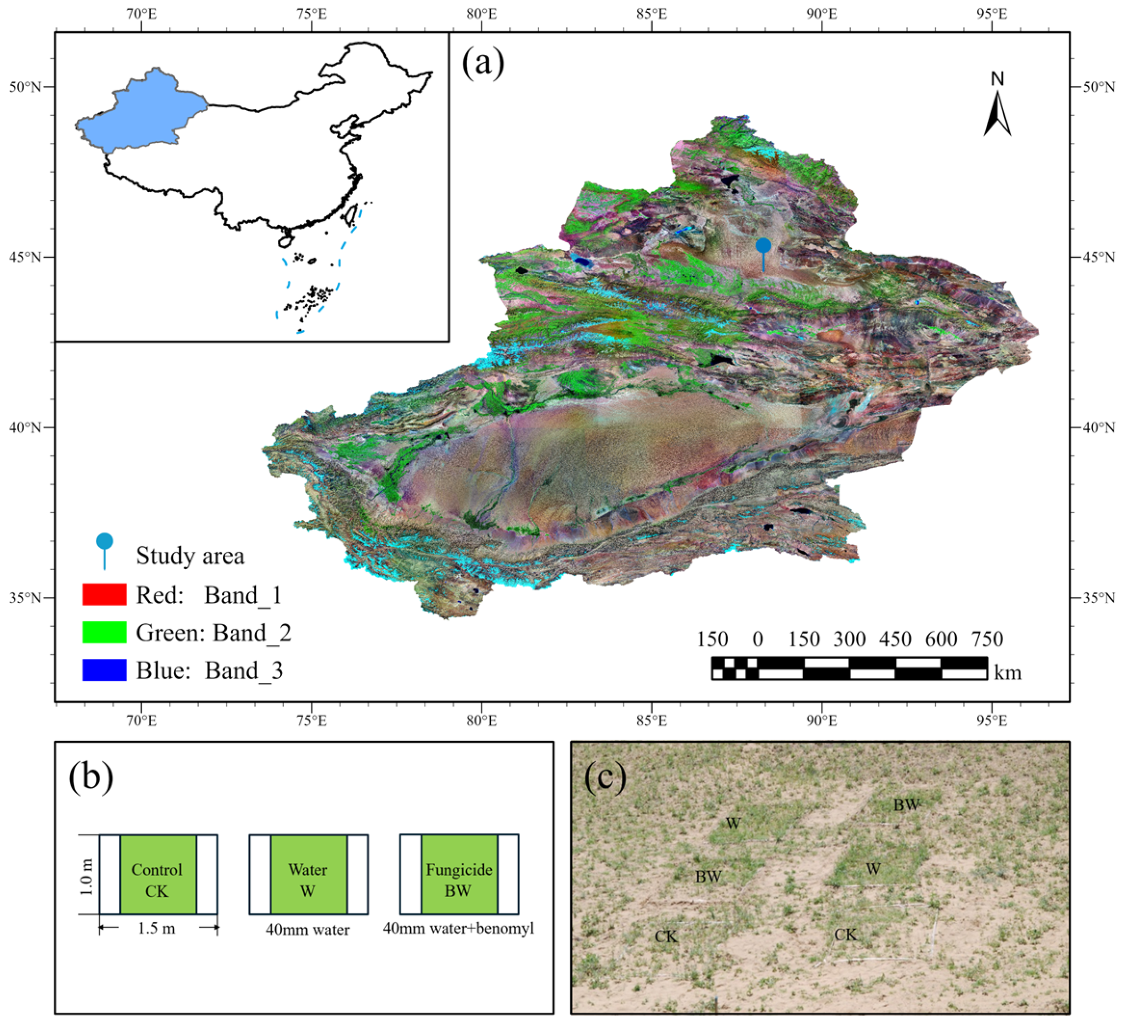Plants 14 01099 g006