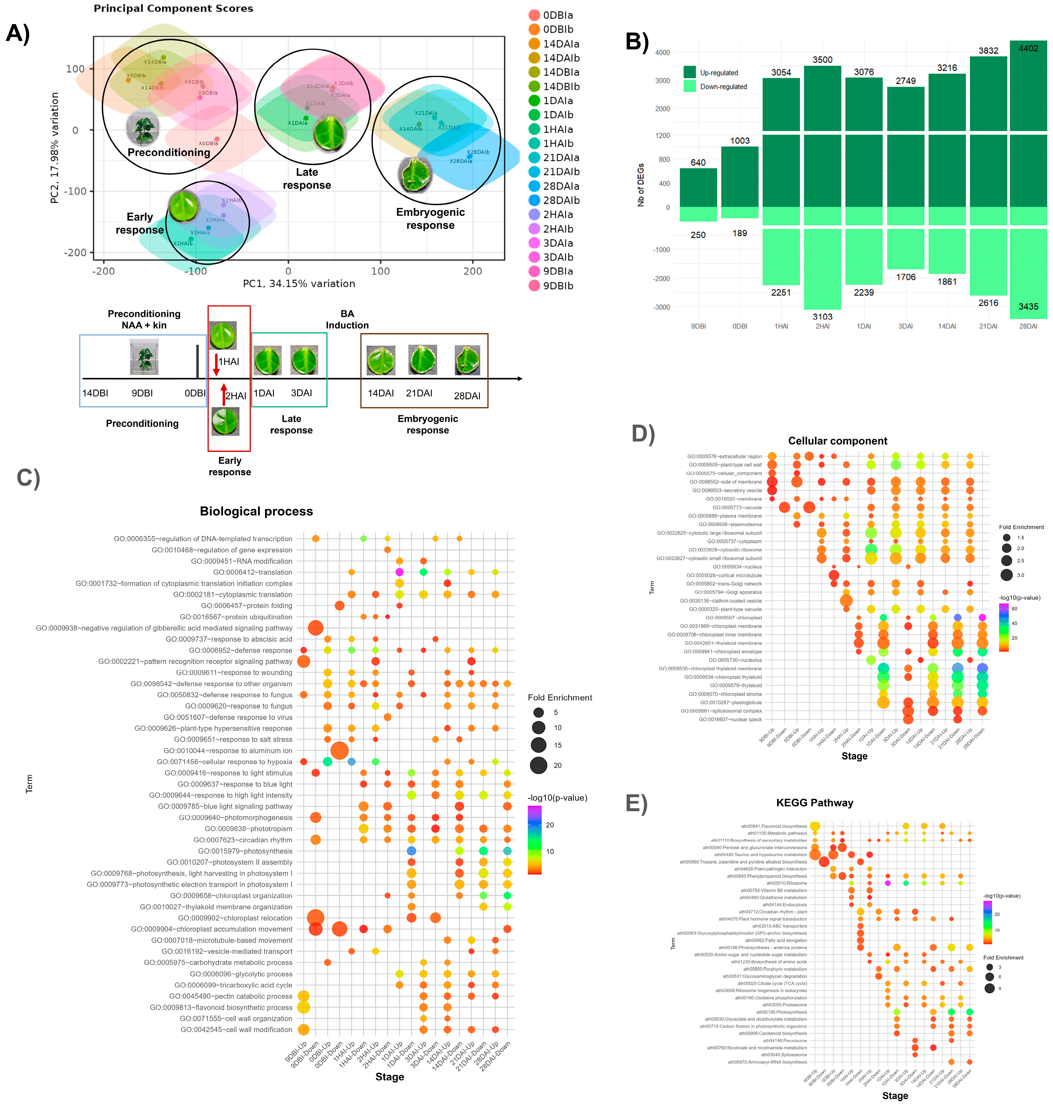Plants 14 01108 g002