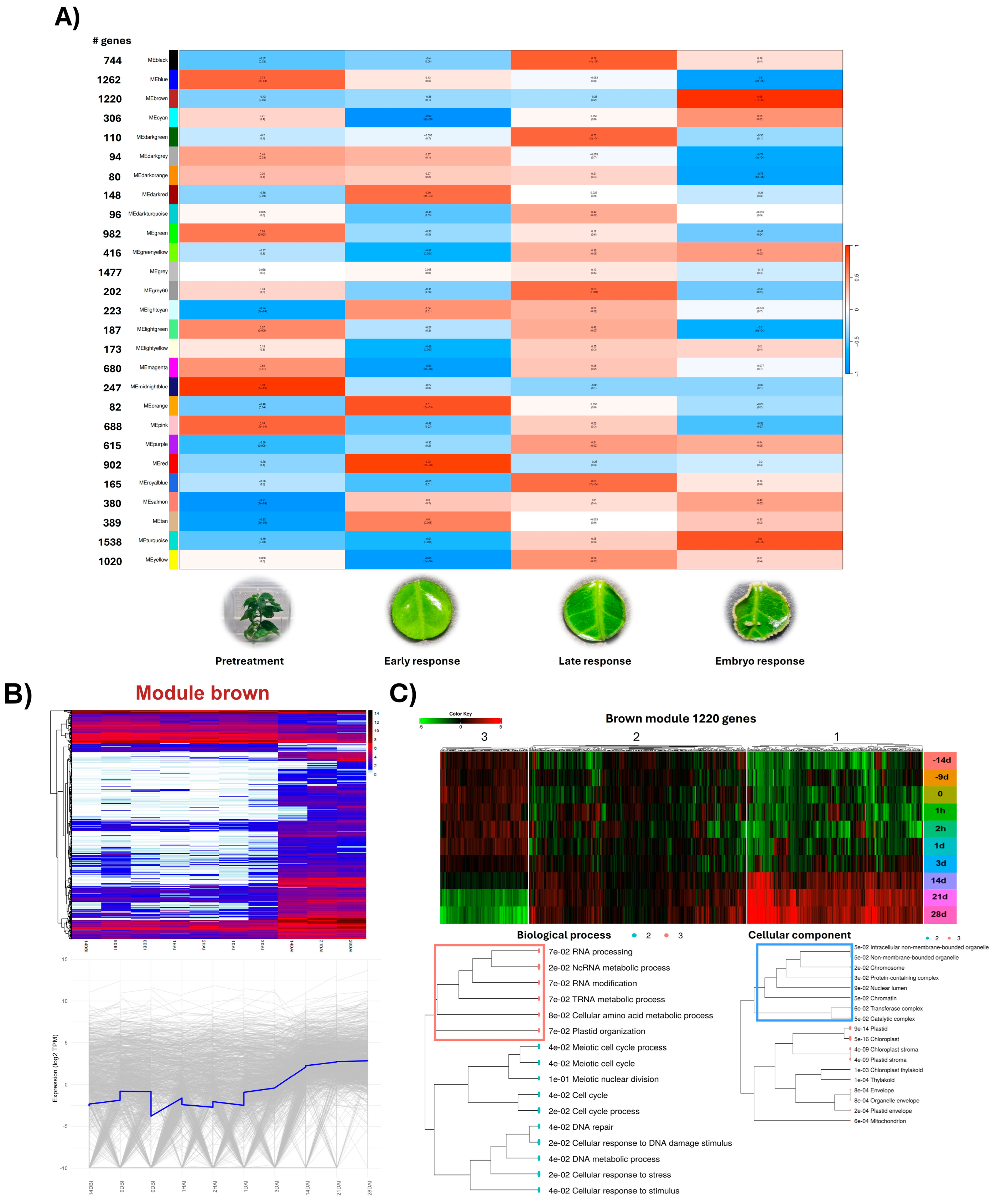 Plants 14 01108 g003