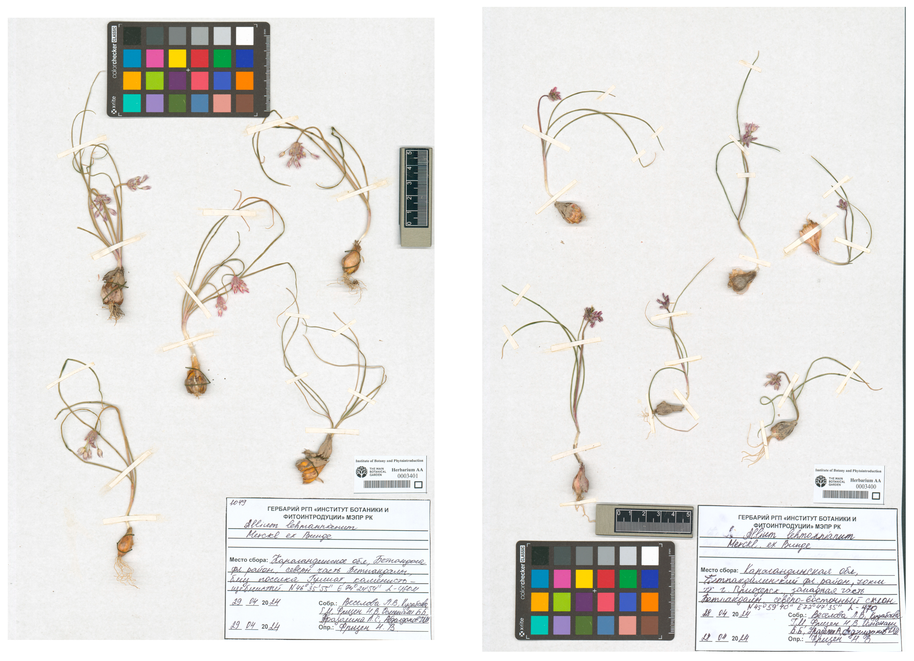 Plants 14 01113 g0a1 Plants 14 01113 g0a1