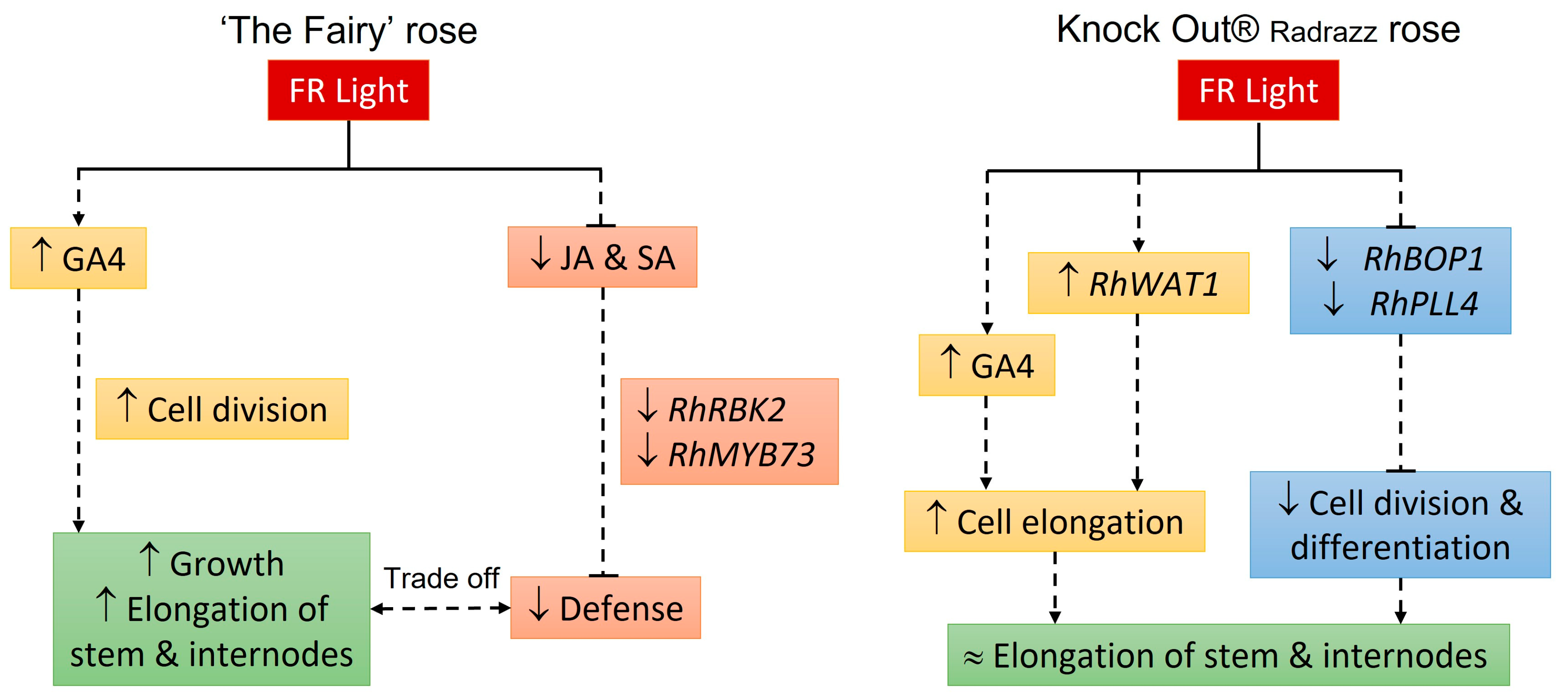 Plants 14 01115 g005
