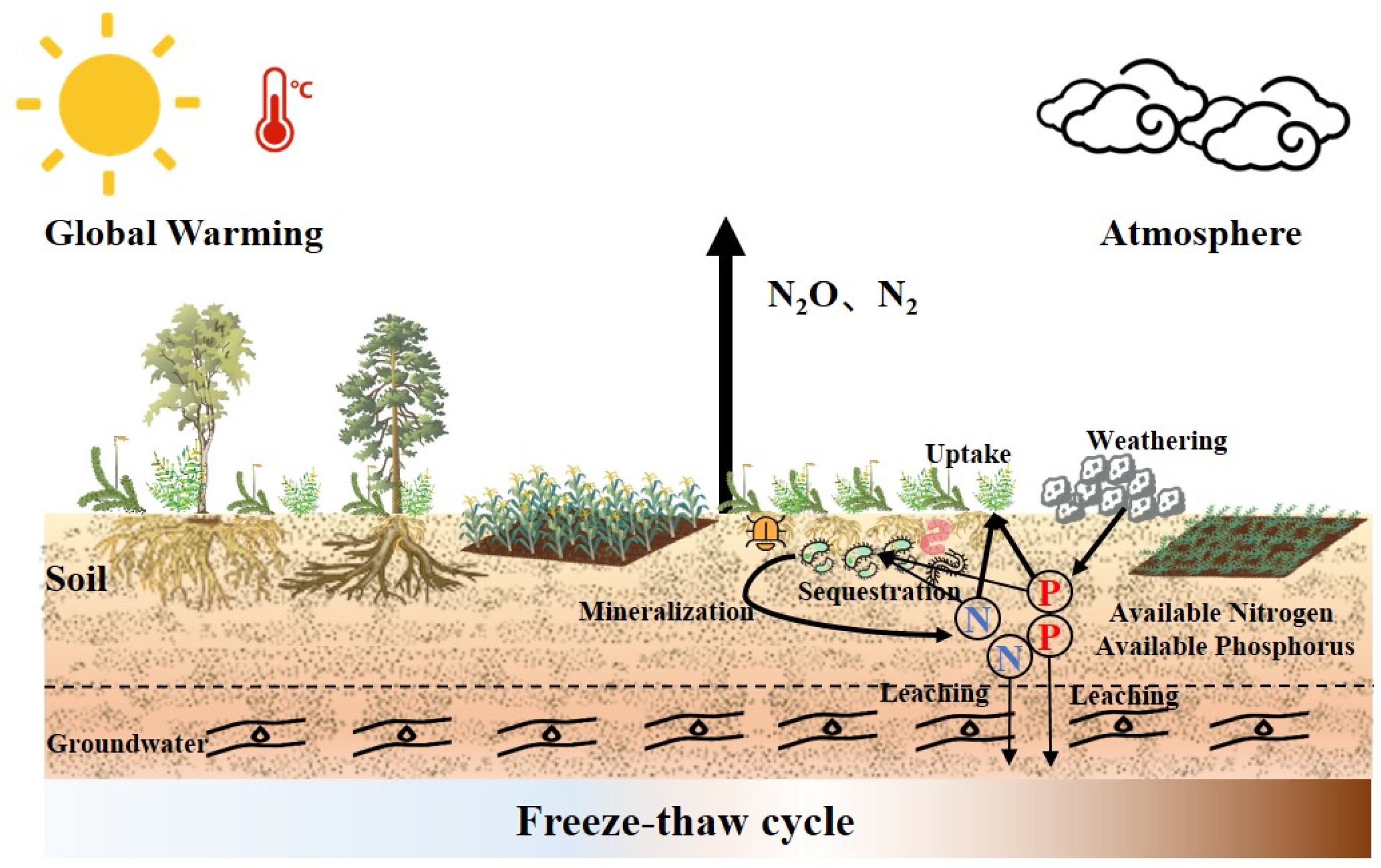 Plants 14 01122 g001