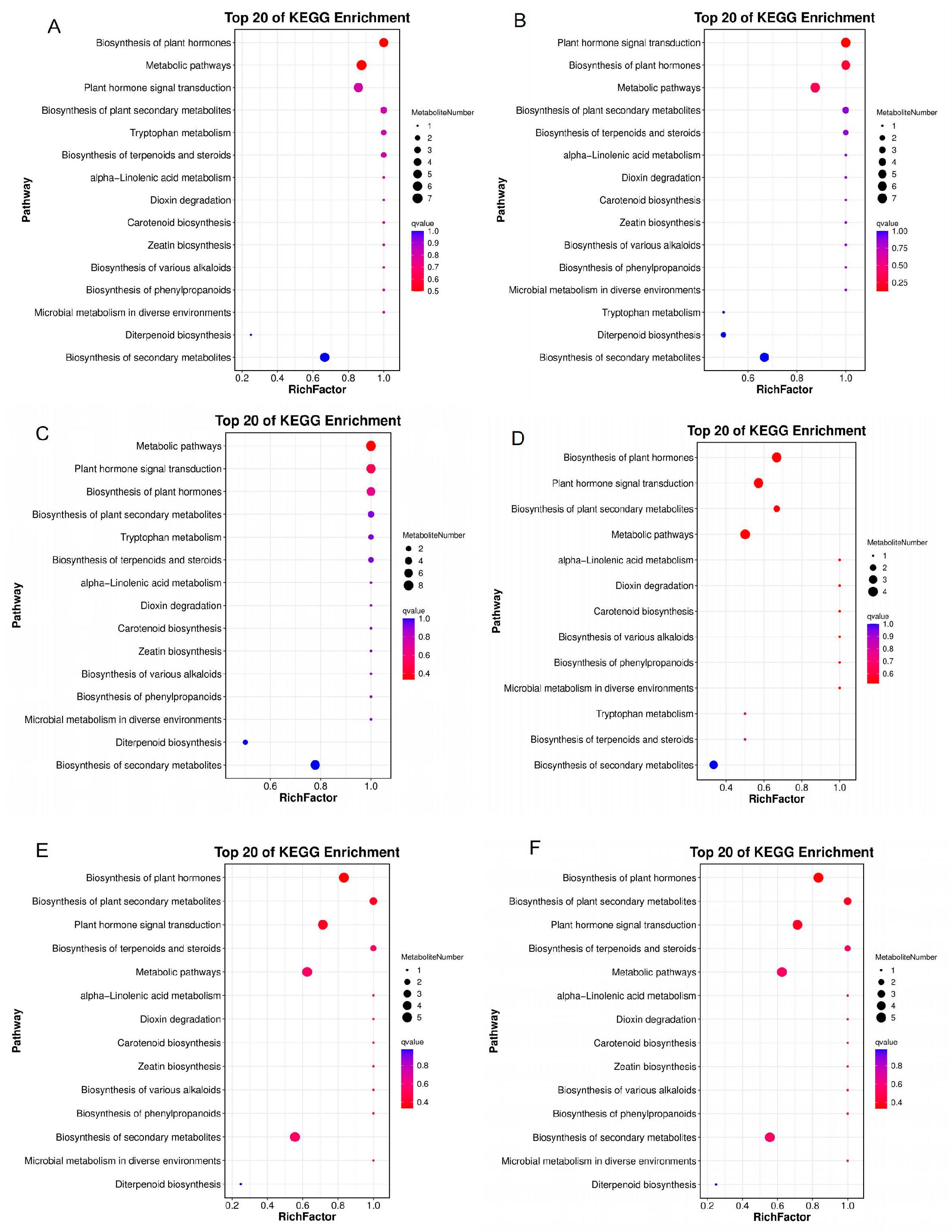 Plants 14 01126 g011